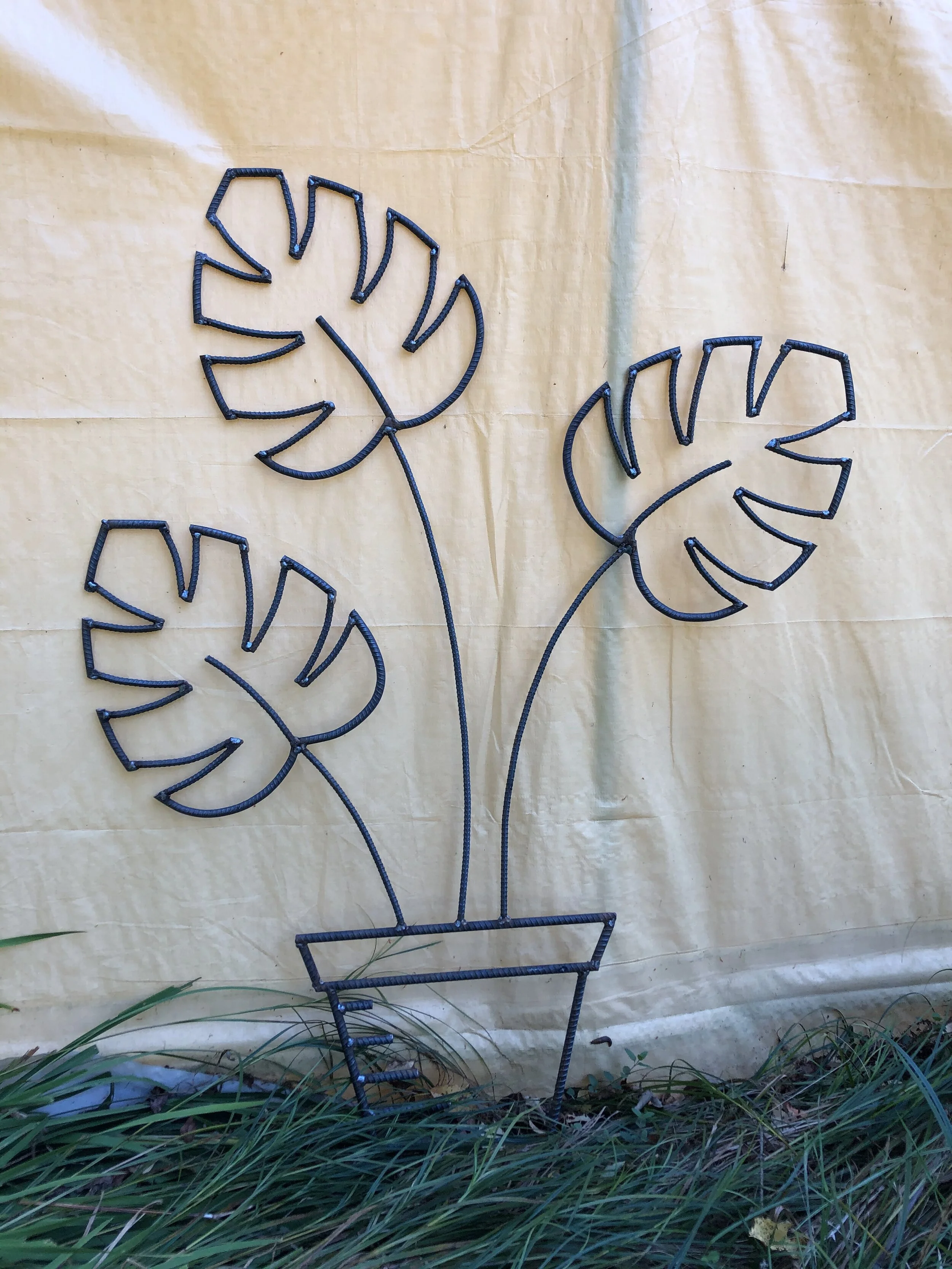 Philodendron Wall Art