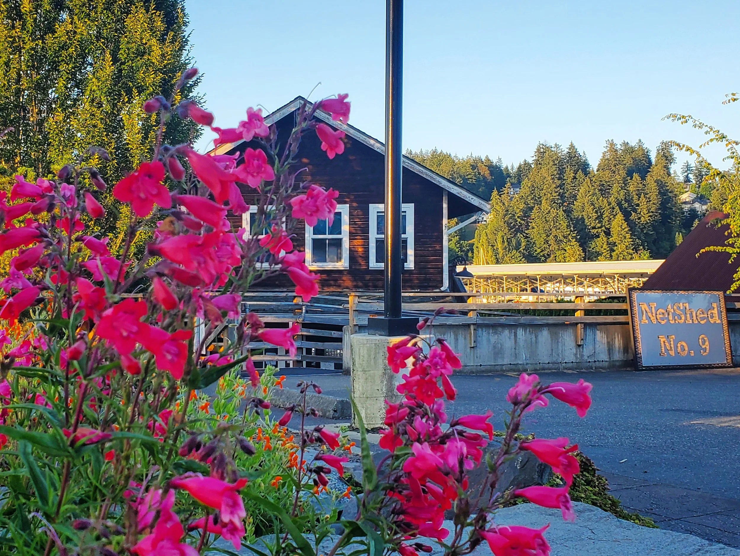 Netshed is now open for dinner. Friday and Saturday nights
