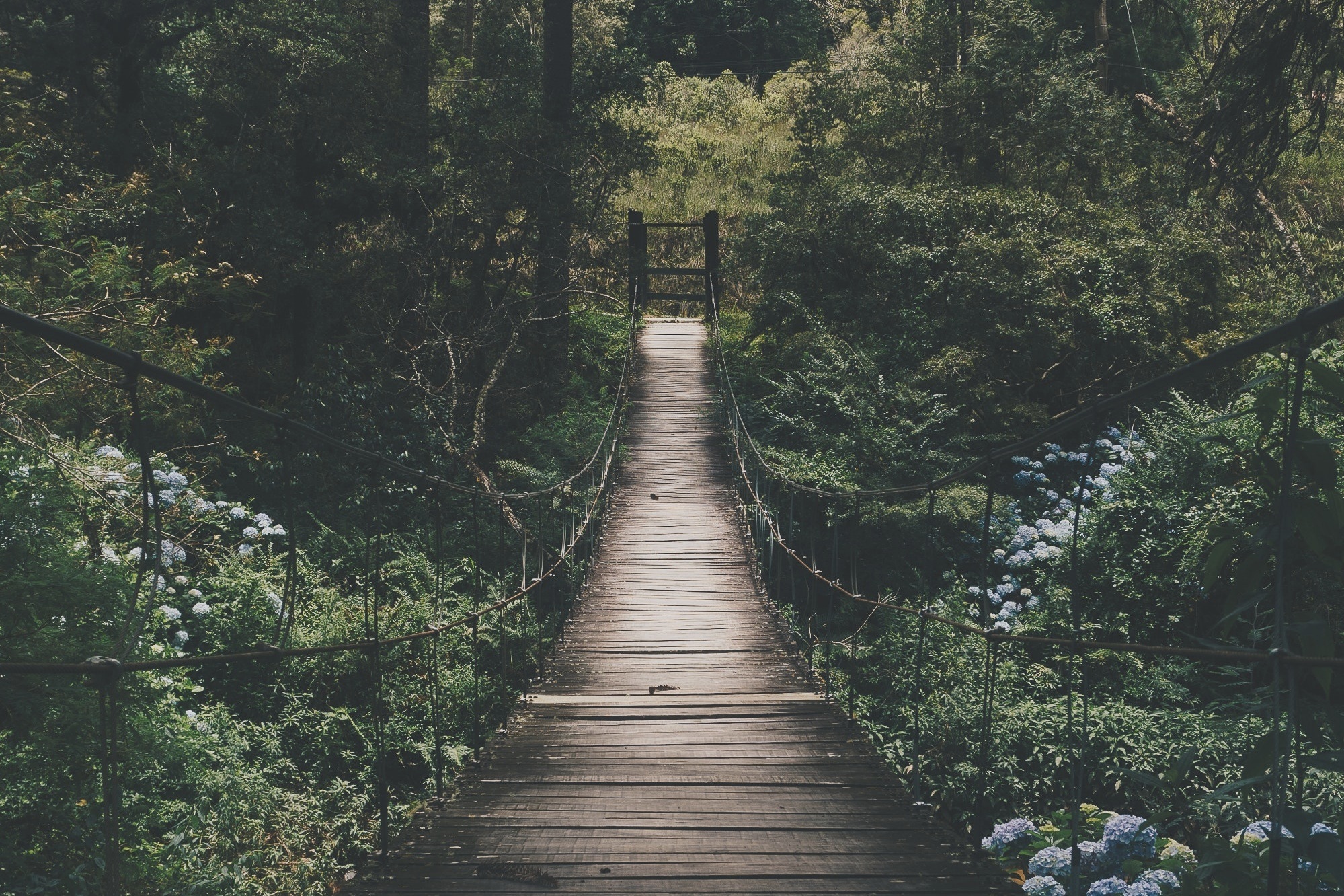 bridge-daylight-environment-775201.jpg