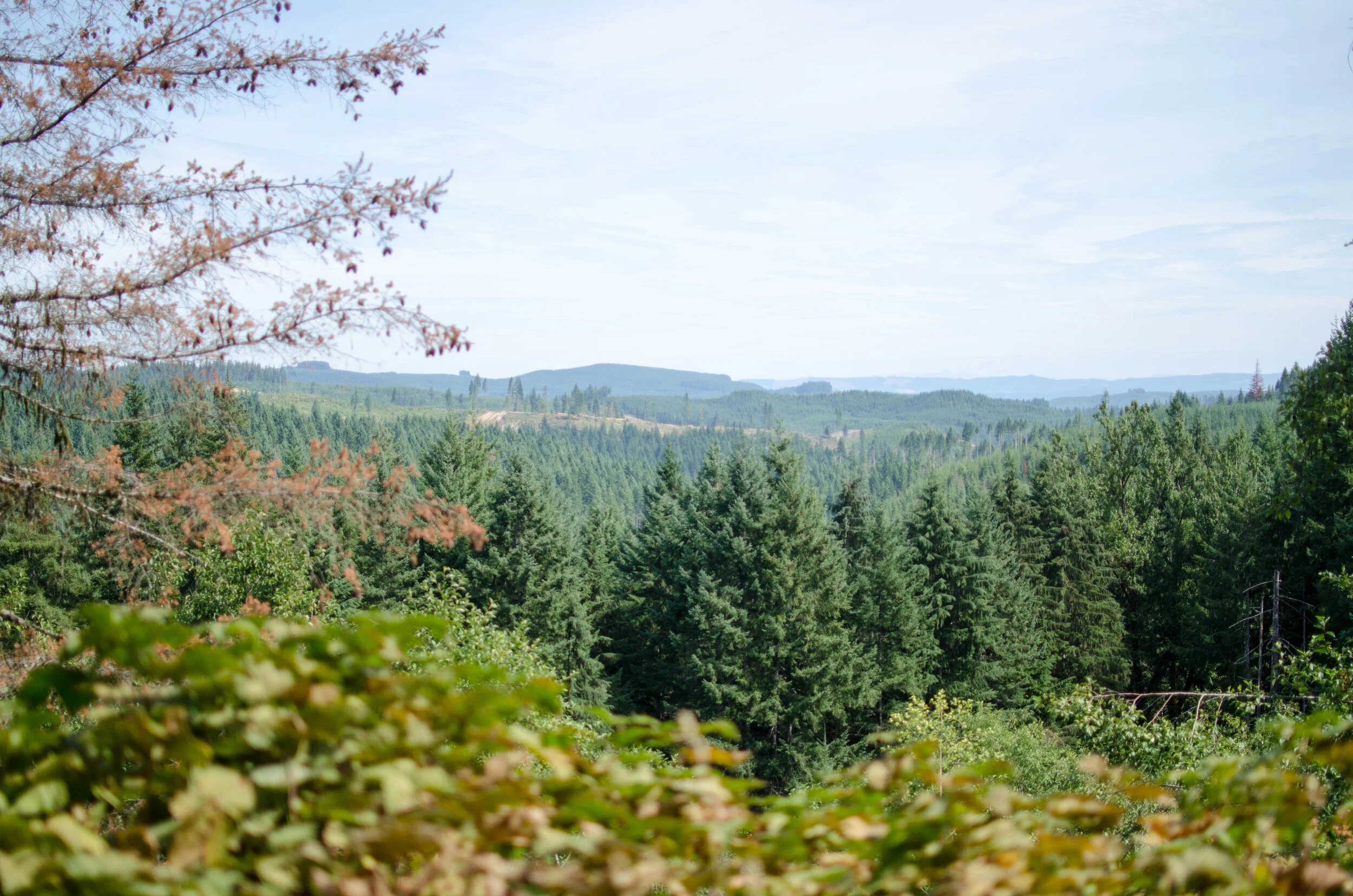 8.2017 Oregon Vacation (58 of 242).jpg