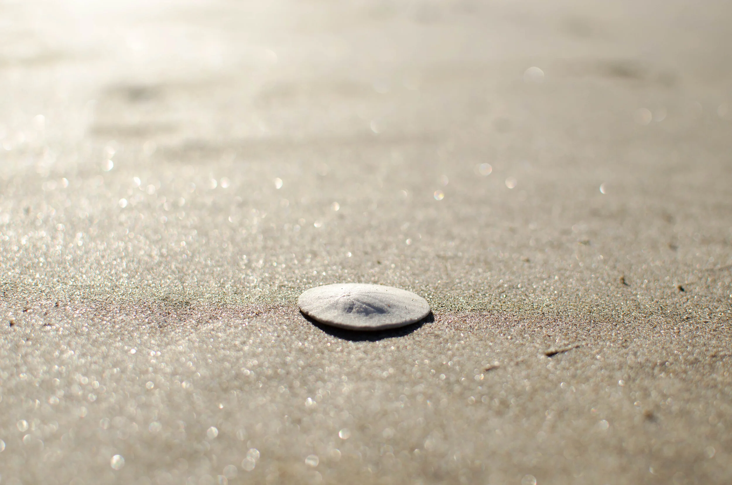 8.2017 Oregon Vacation (157 of 242).jpg