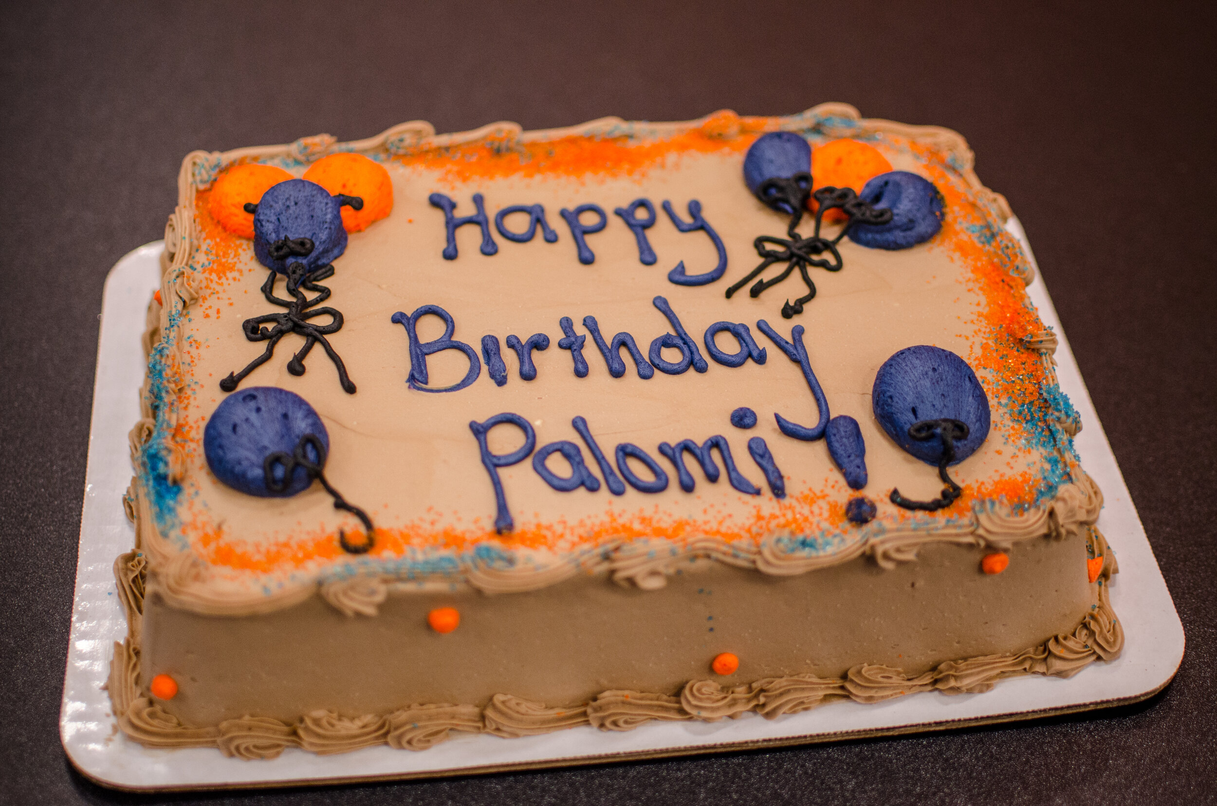 1.17.16 Sky Zone-6.jpg