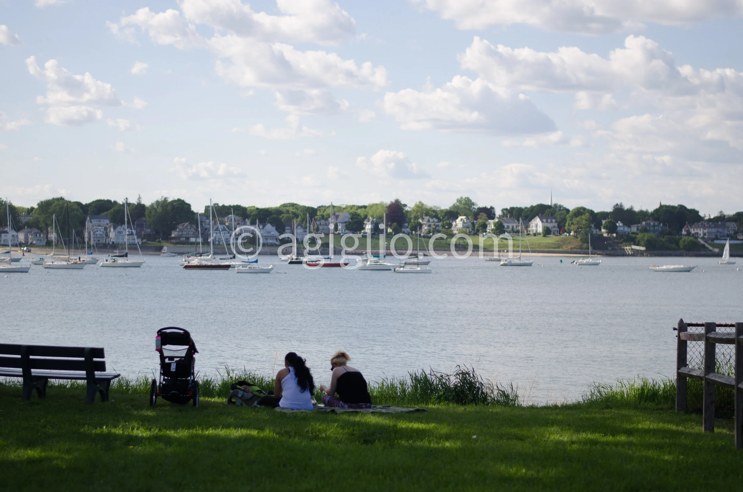 Salem WIllows (1).jpg