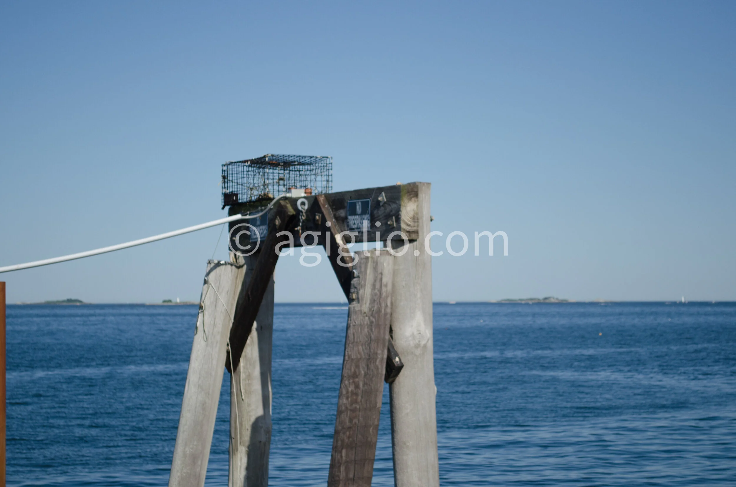 Salem WIllows (4).jpg