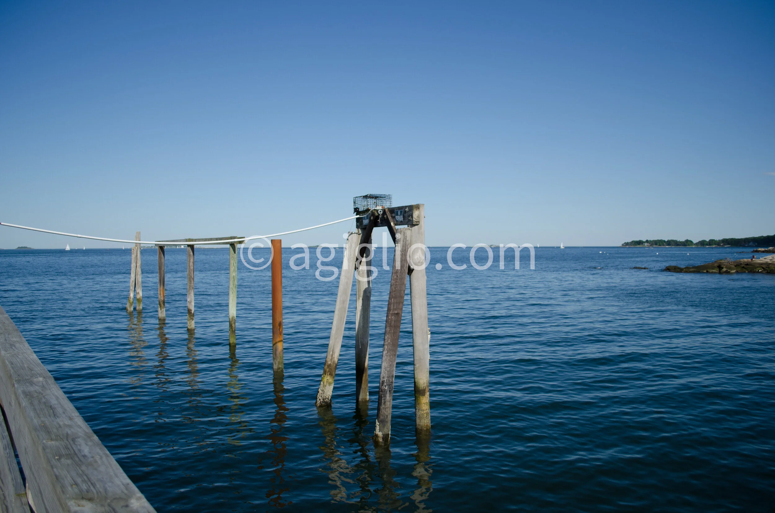 Salem WIllows (5).jpg