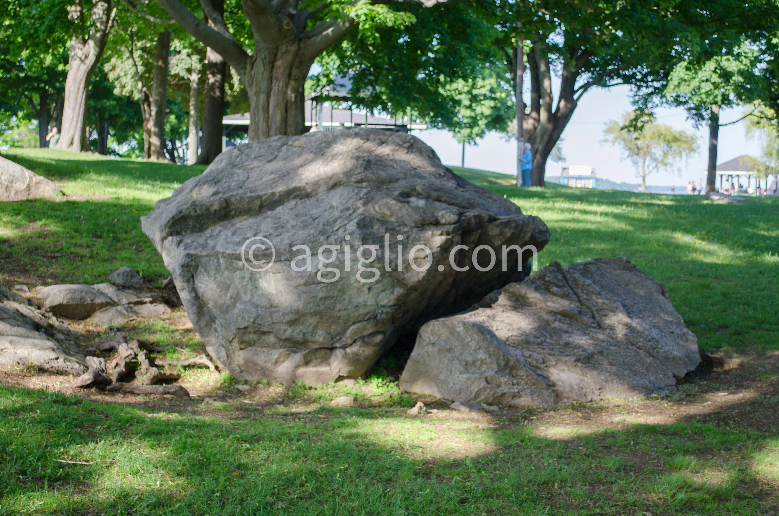 Salem WIllows (10).jpg