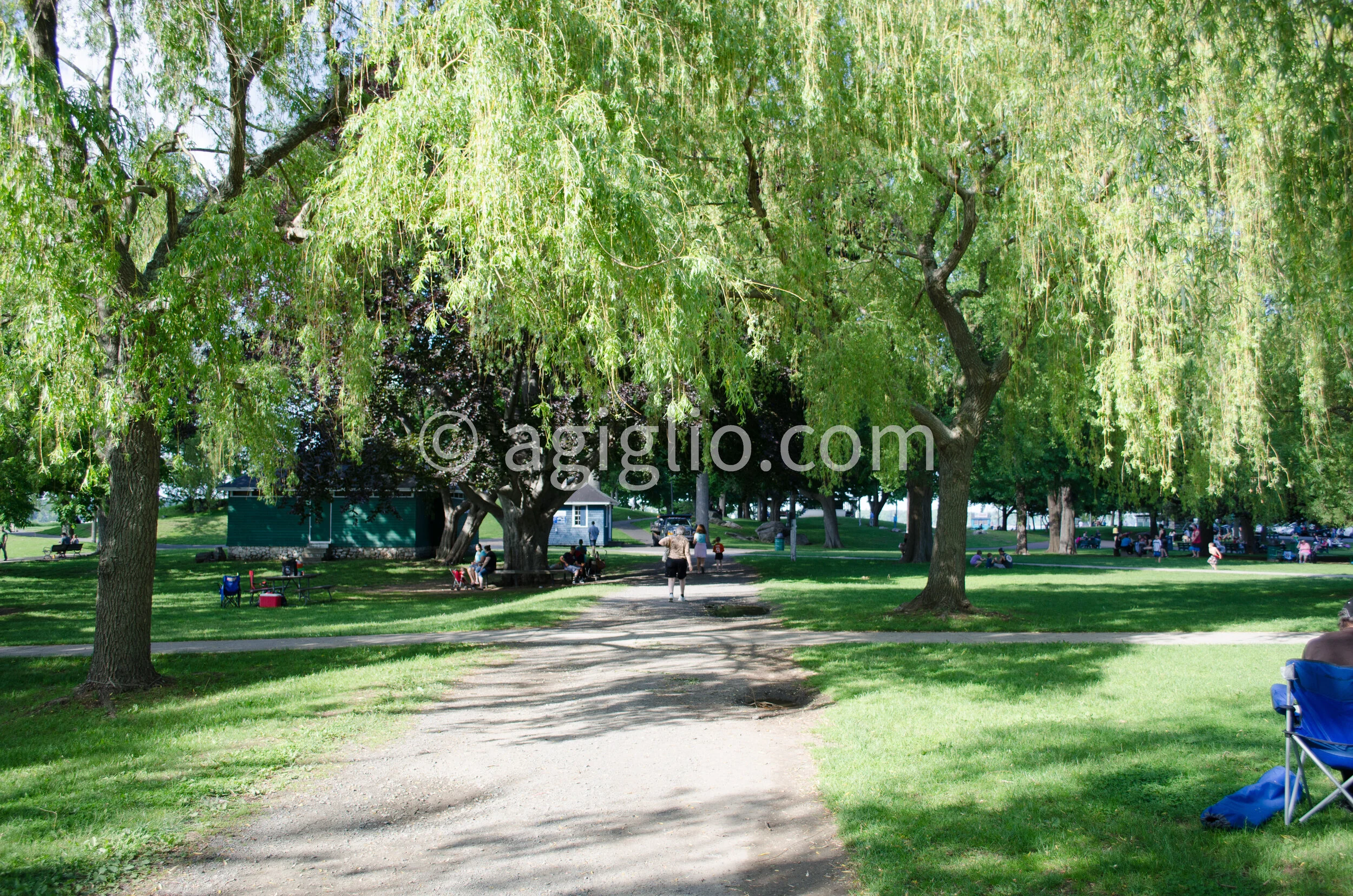 Salem WIllows (11).jpg