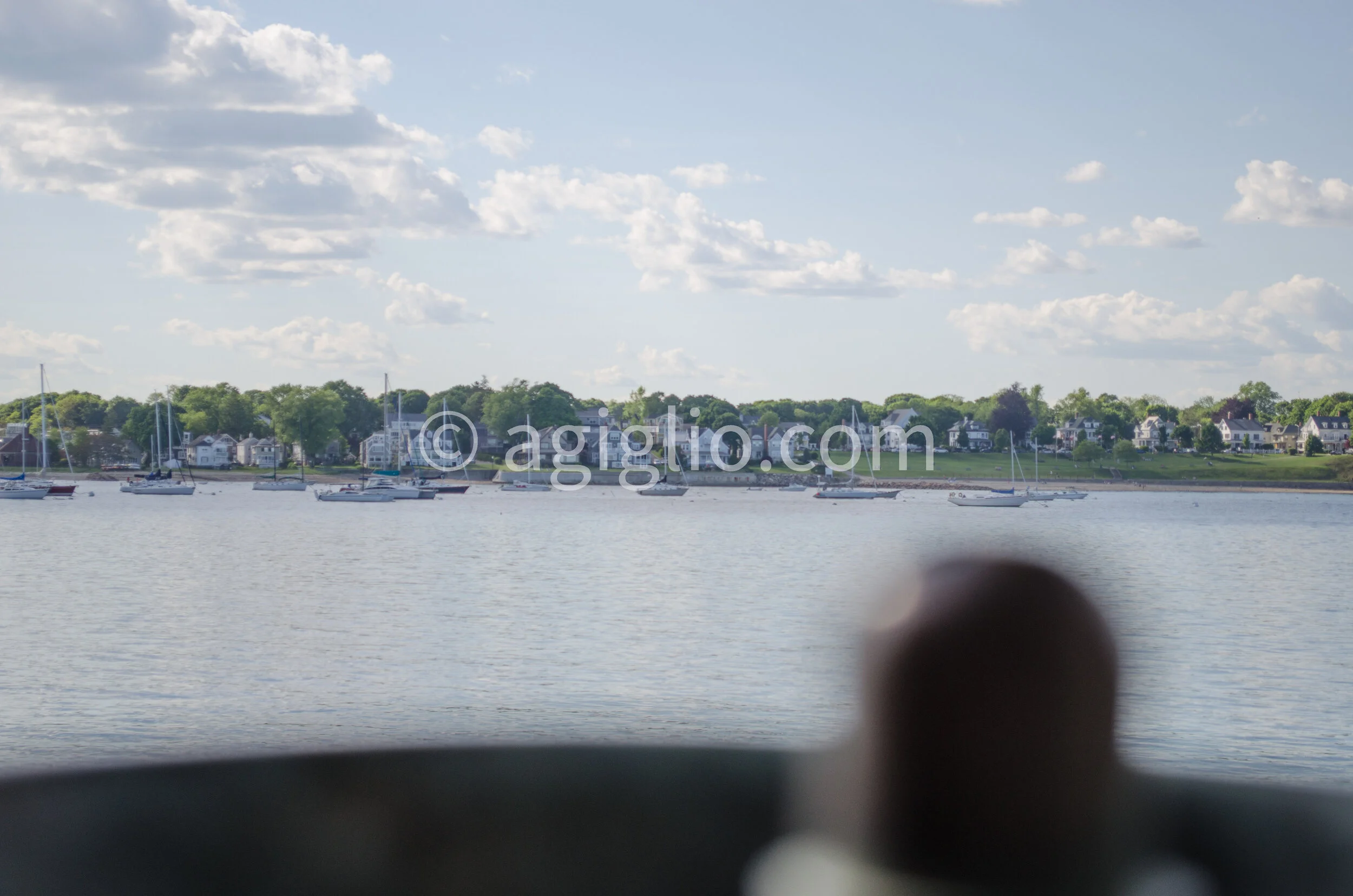 Salem WIllows (13).jpg