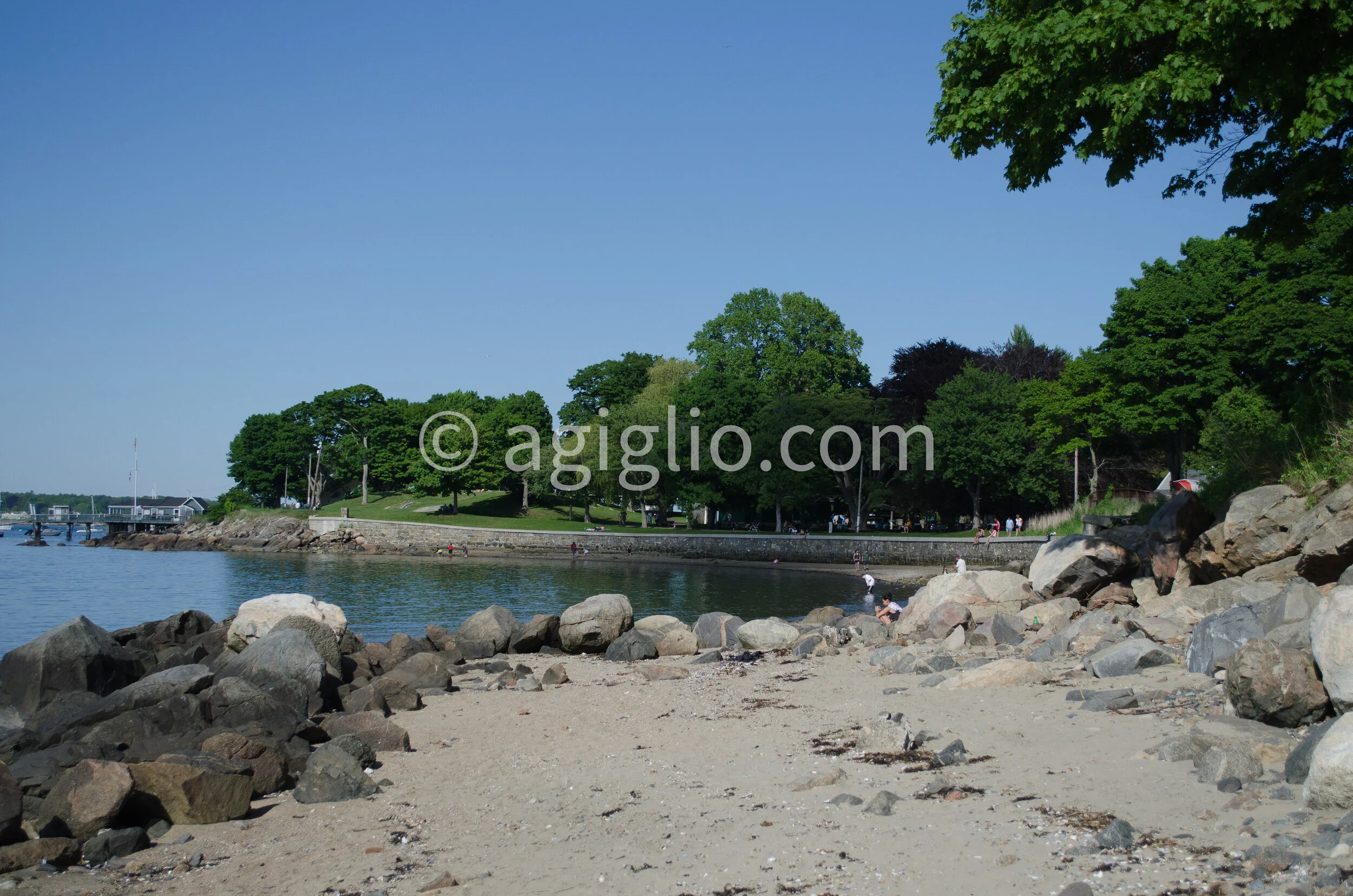 Salem WIllows (18).jpg