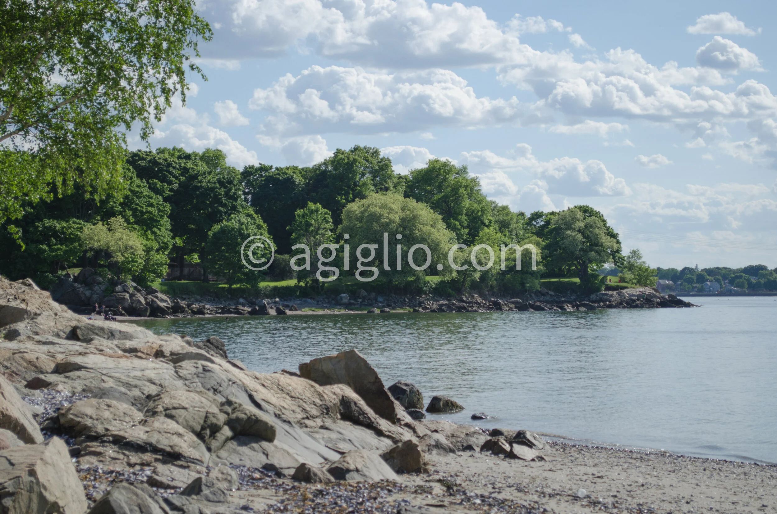 Salem WIllows (20).jpg