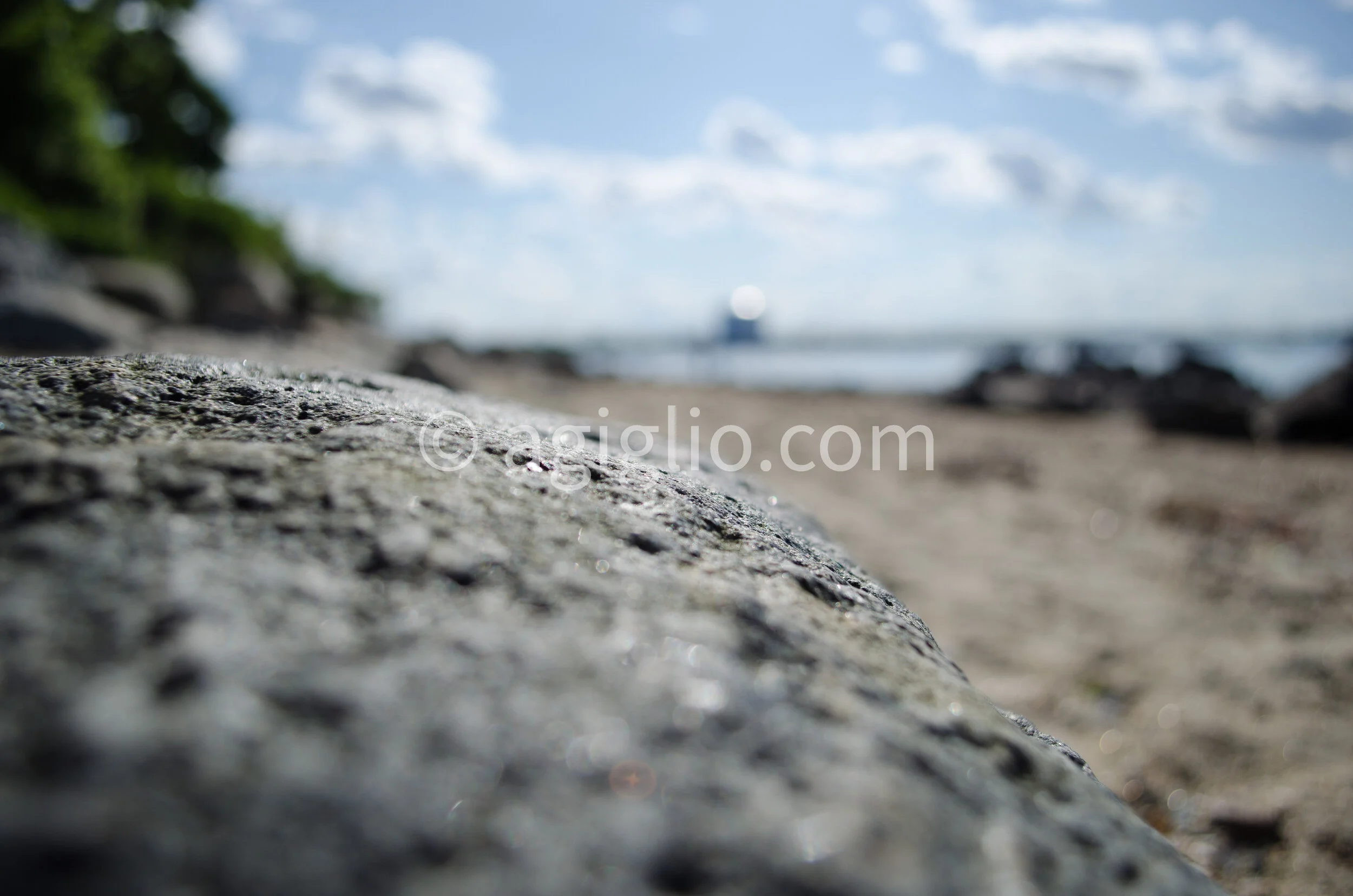 Salem WIllows (21).jpg