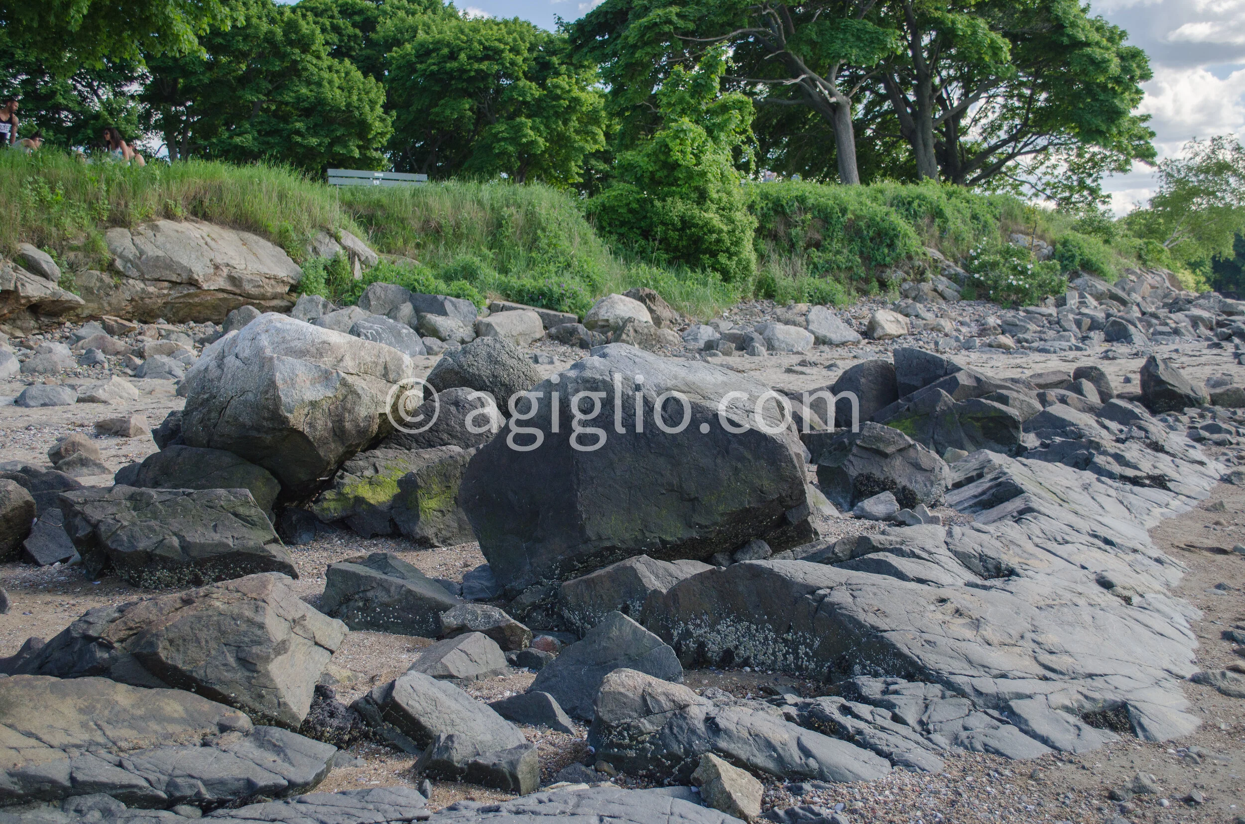 Salem WIllows (23).jpg