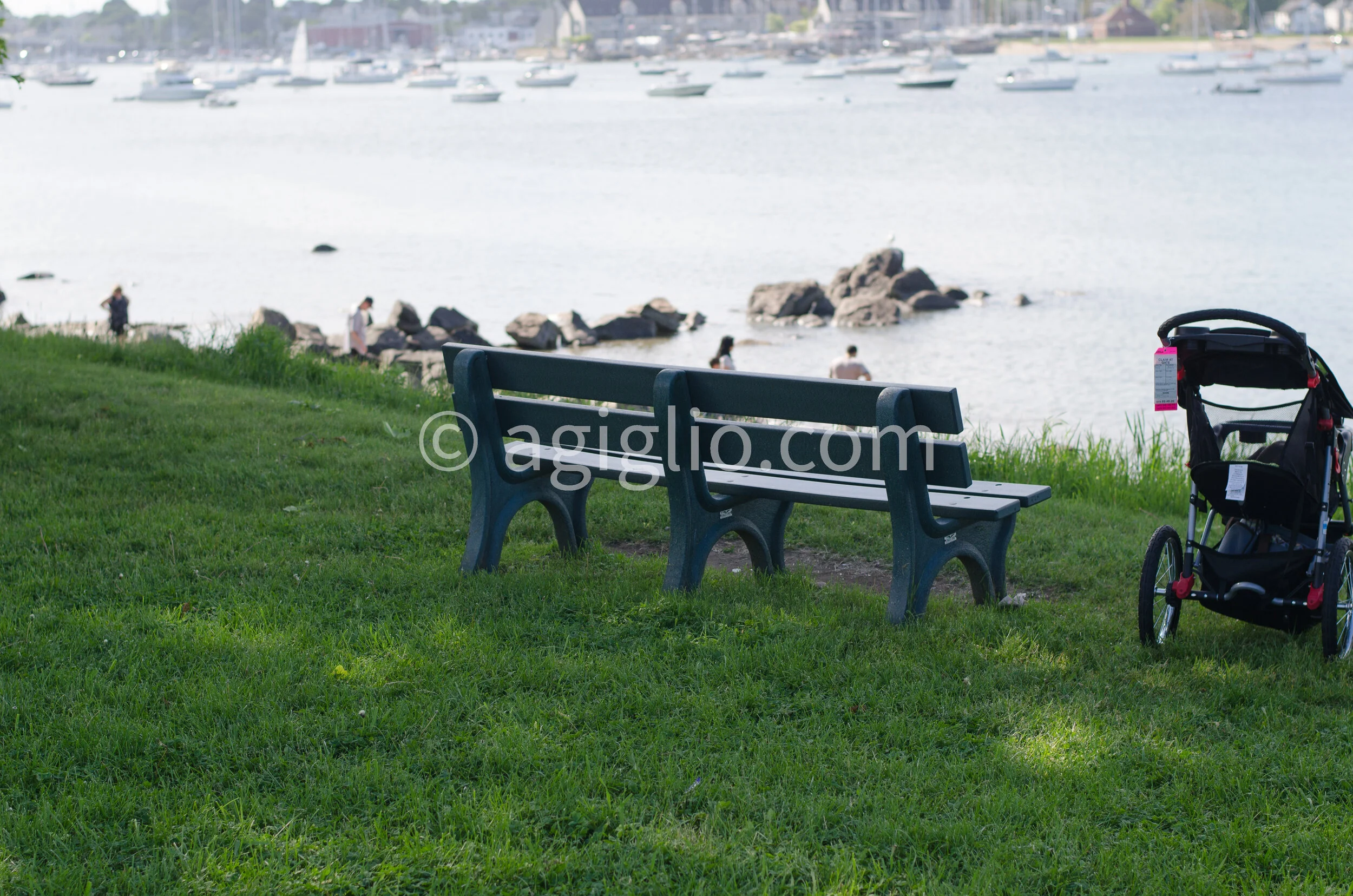 Salem WIllows (32).jpg