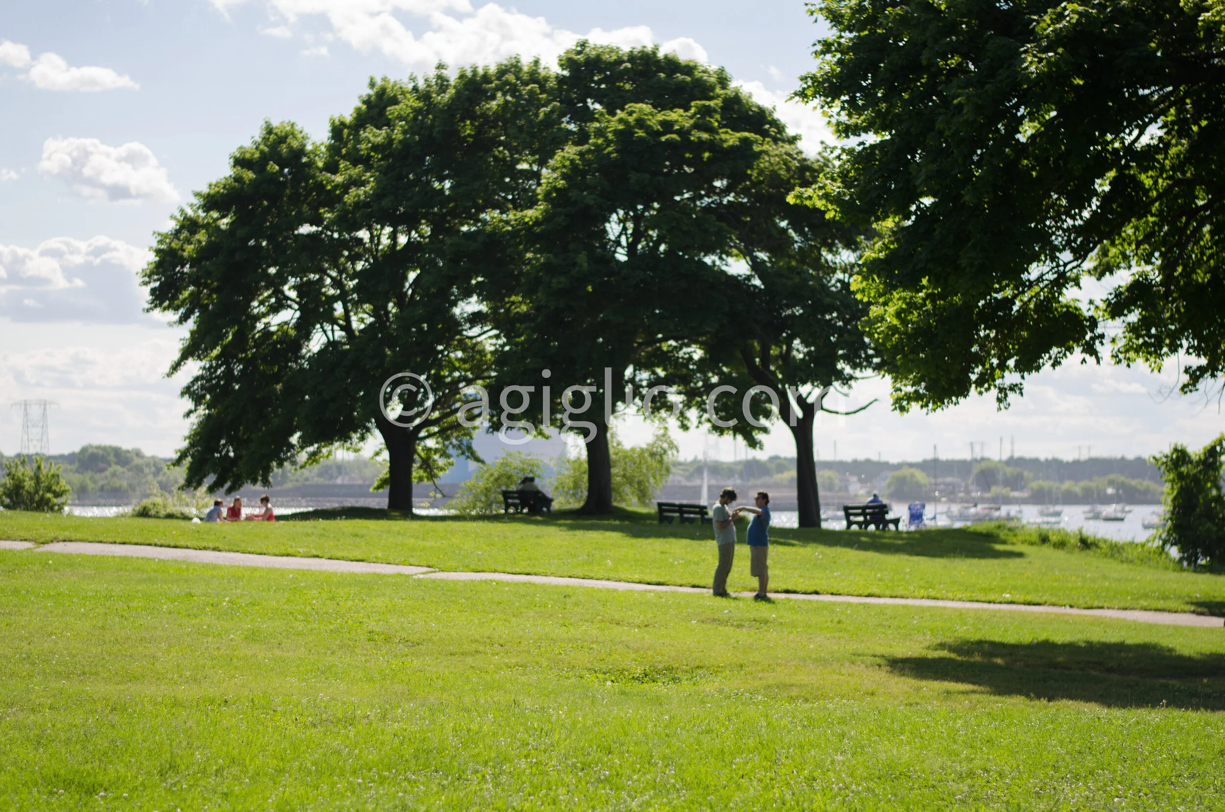 Salem WIllows (34).jpg