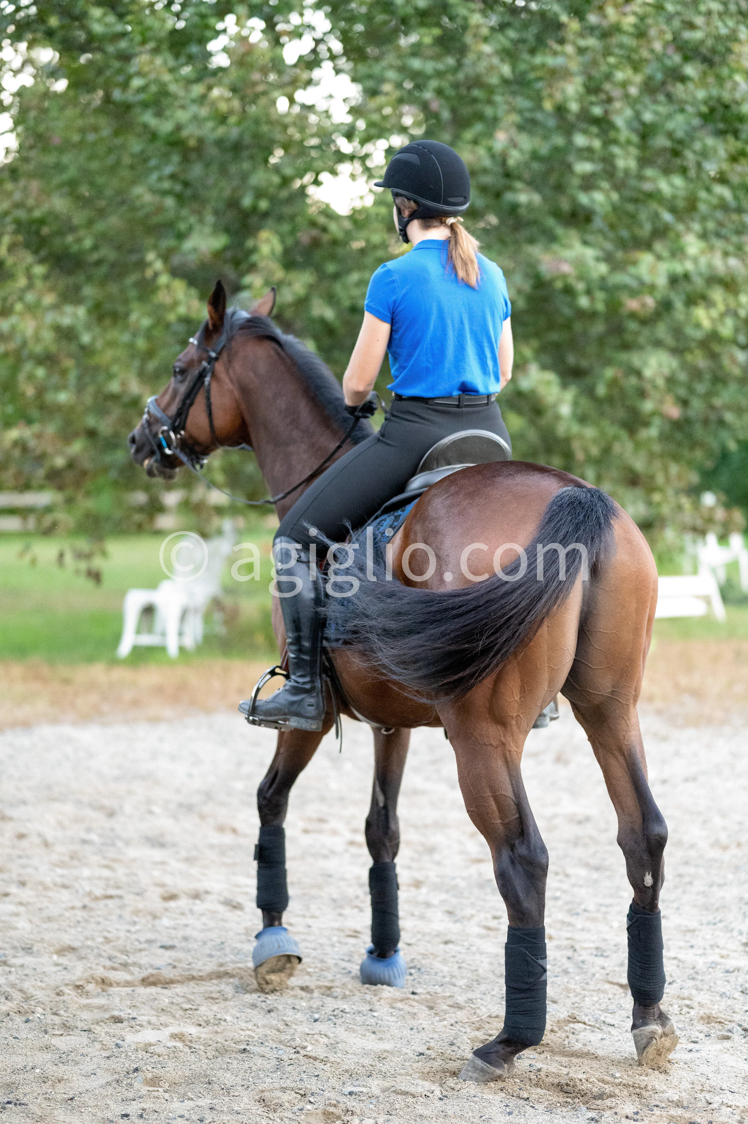 Chelsea Curtis-Dustin (62 of 131).jpg