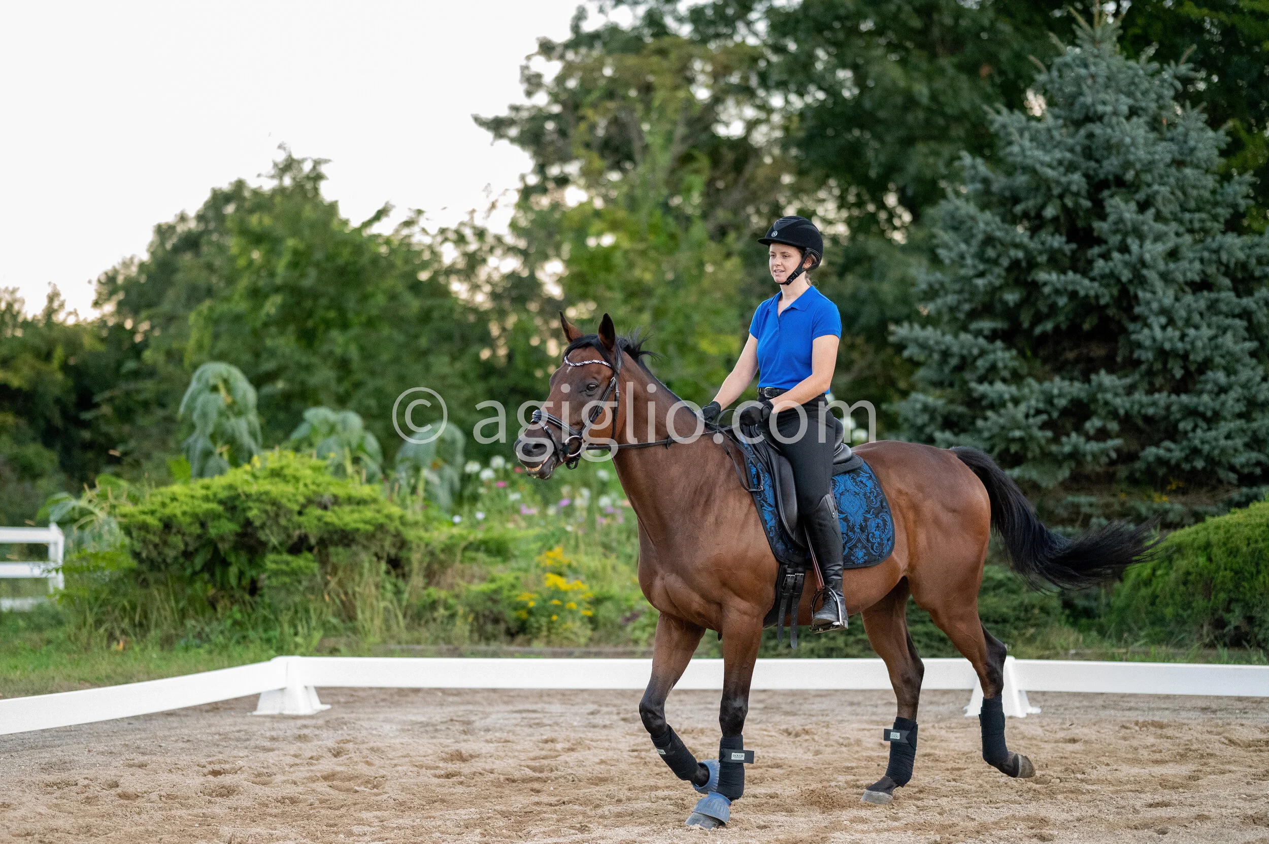 Chelsea Curtis-Dustin (70 of 131).jpg