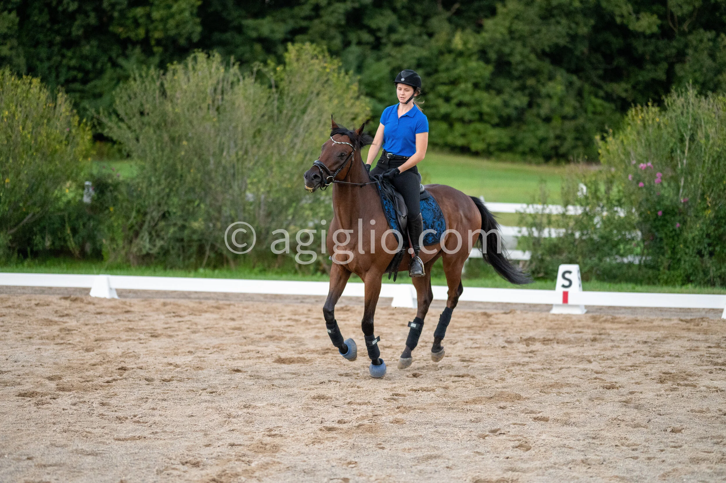 Chelsea Curtis-Dustin (79 of 131).jpg