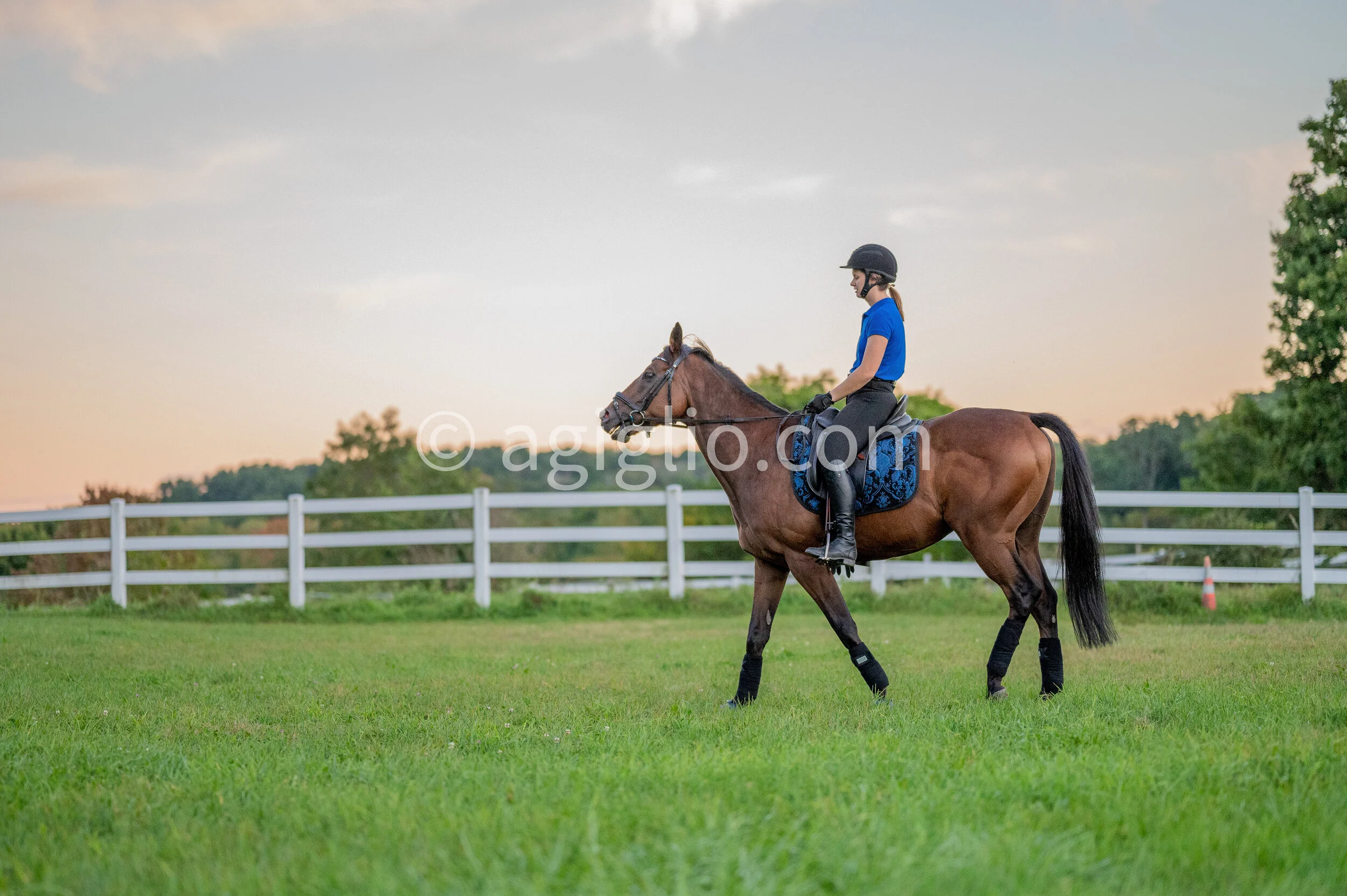 Chelsea Curtis-Dustin (94 of 131).jpg