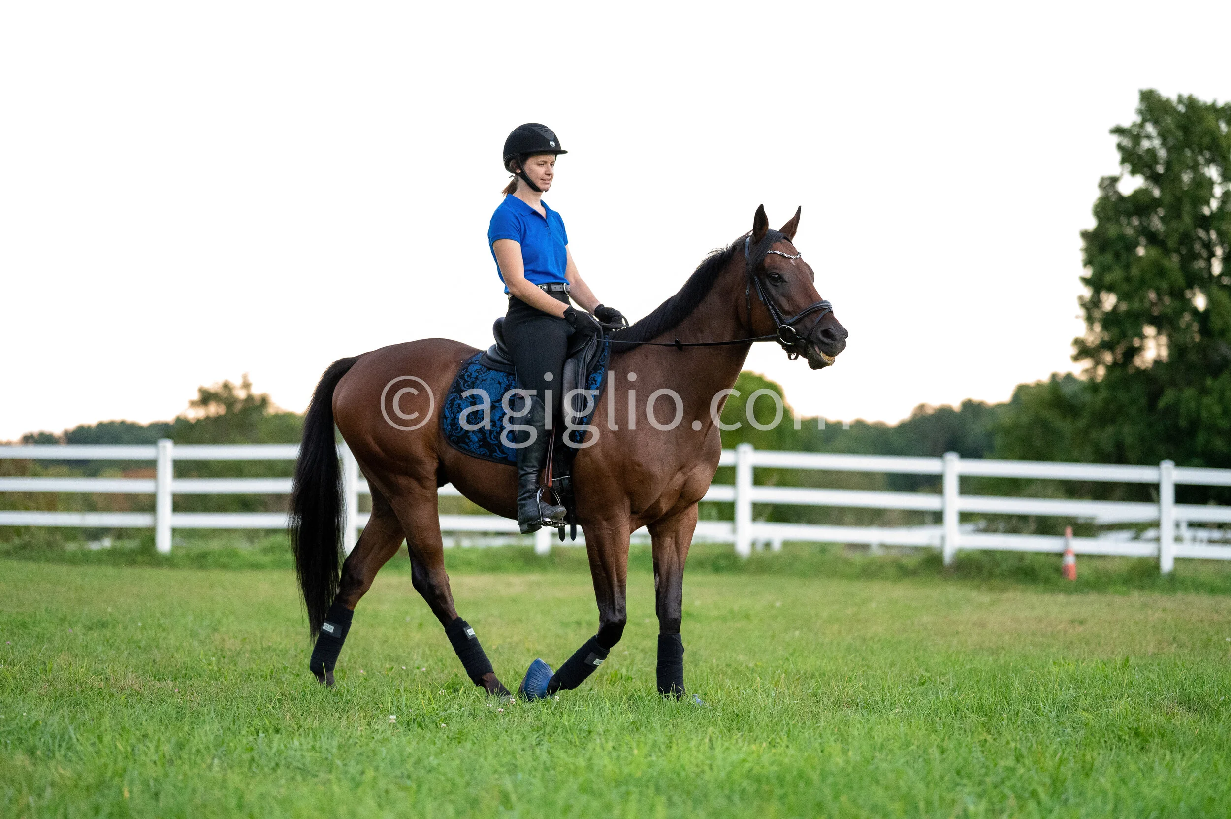 Chelsea Curtis-Dustin (98 of 131).jpg