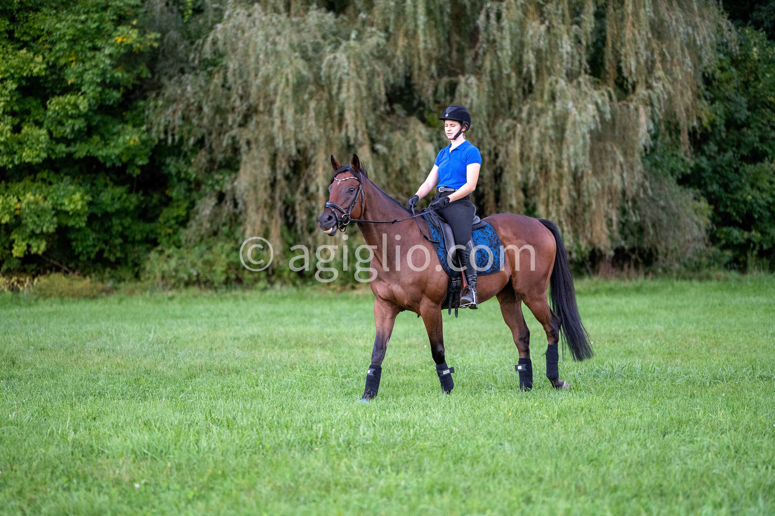 Chelsea Curtis-Dustin (87 of 131).jpg