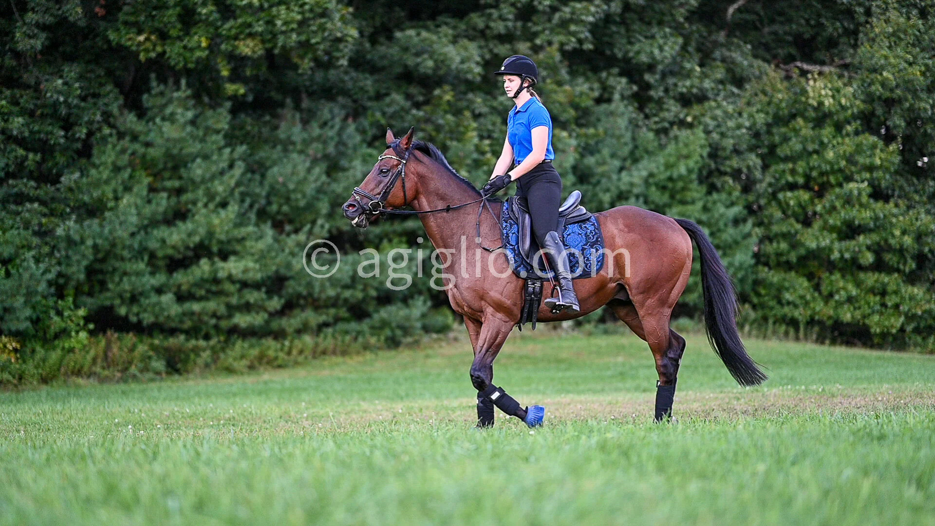 Chelsea Curtis-Dustin (105 of 131).jpg