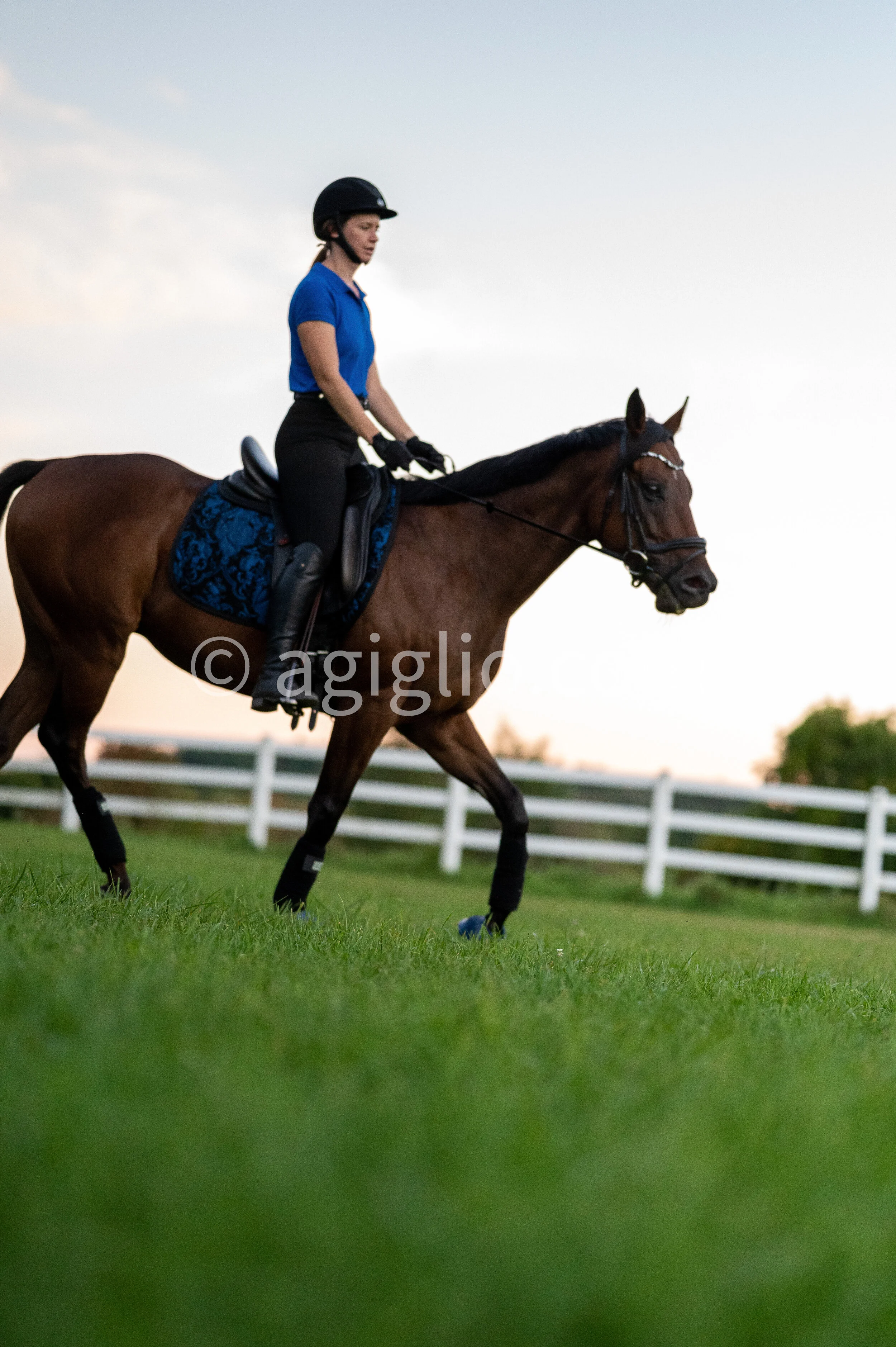 Chelsea Curtis-Dustin (110 of 131).jpg