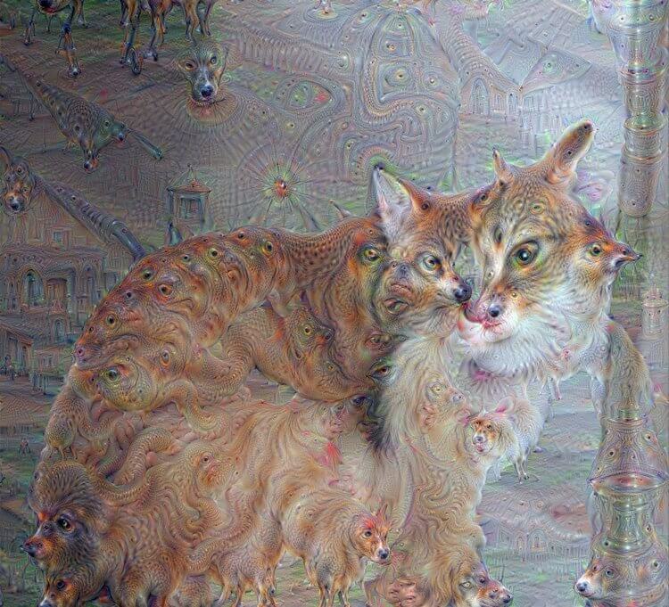 Alexander Mordvintsev - Father Cat.jpeg