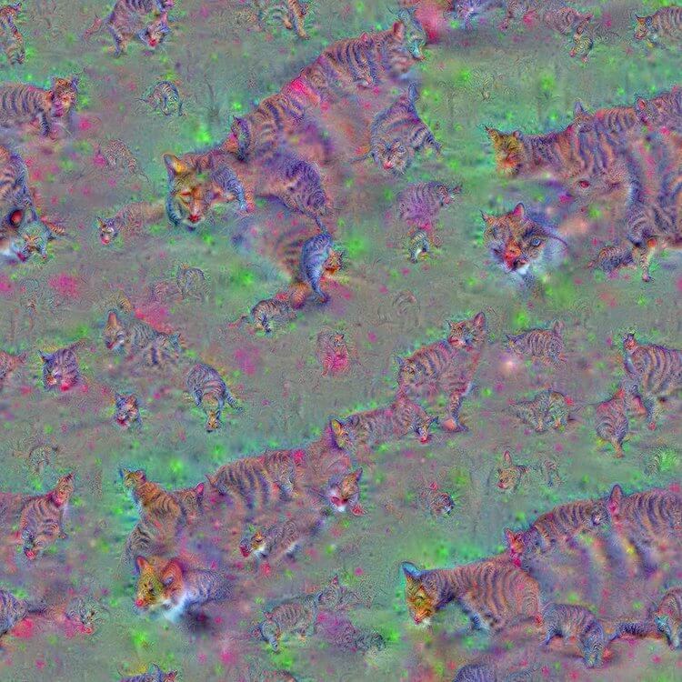 Alexander Mordvintsev - Cats.jpeg
