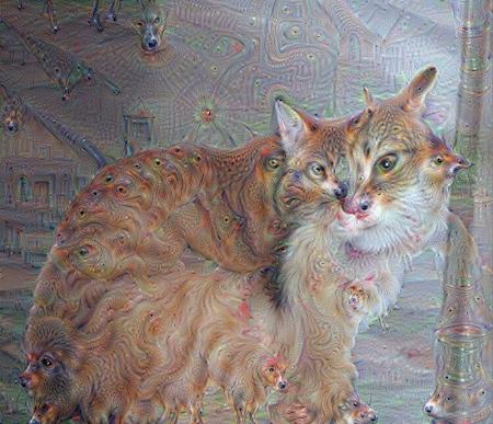 Alexander Mordvintsev - Father Cat.jpeg