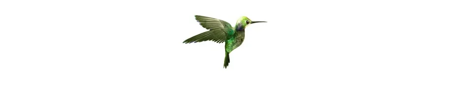humbird.jpg