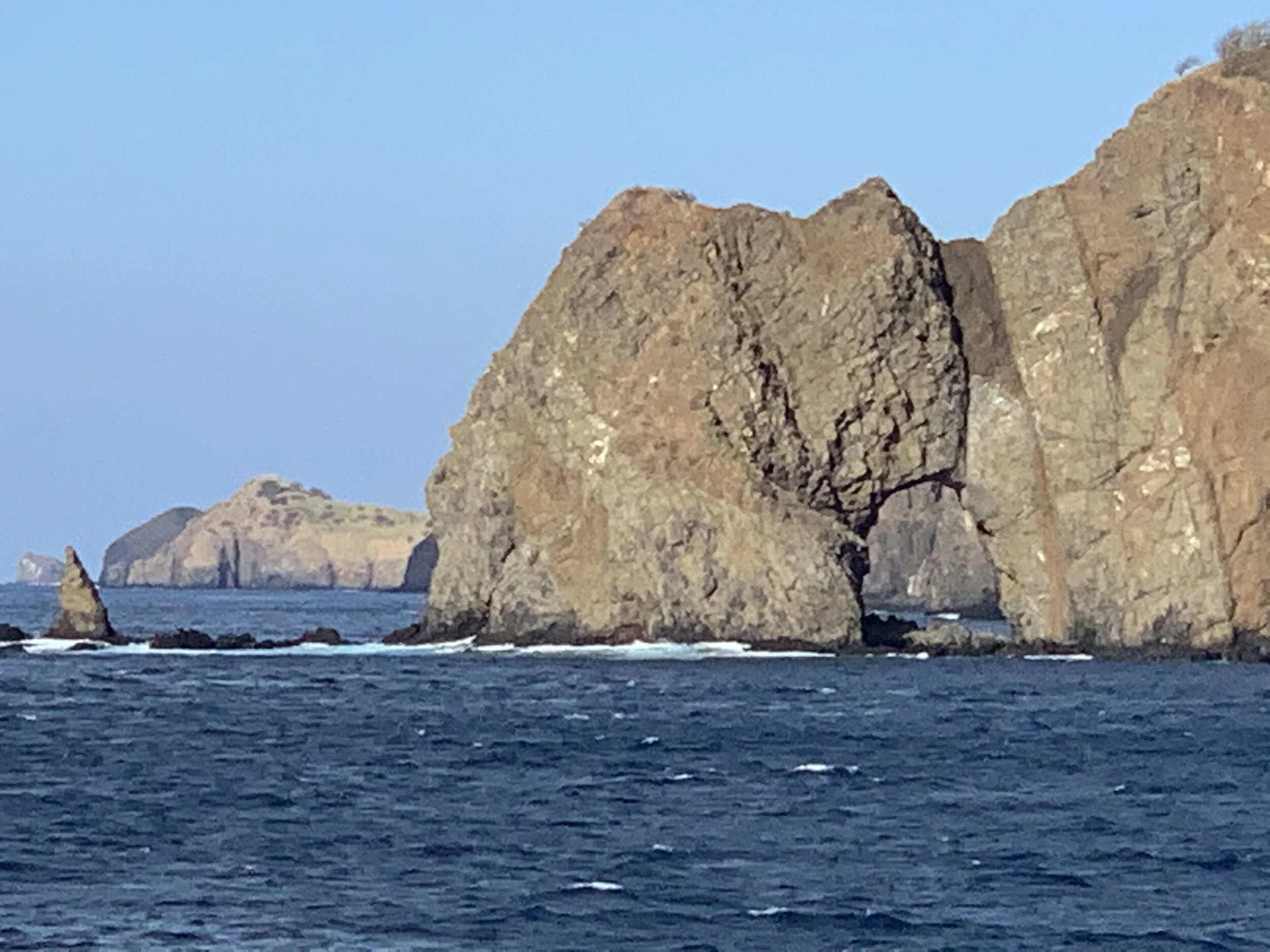 IMG_1564.jpg