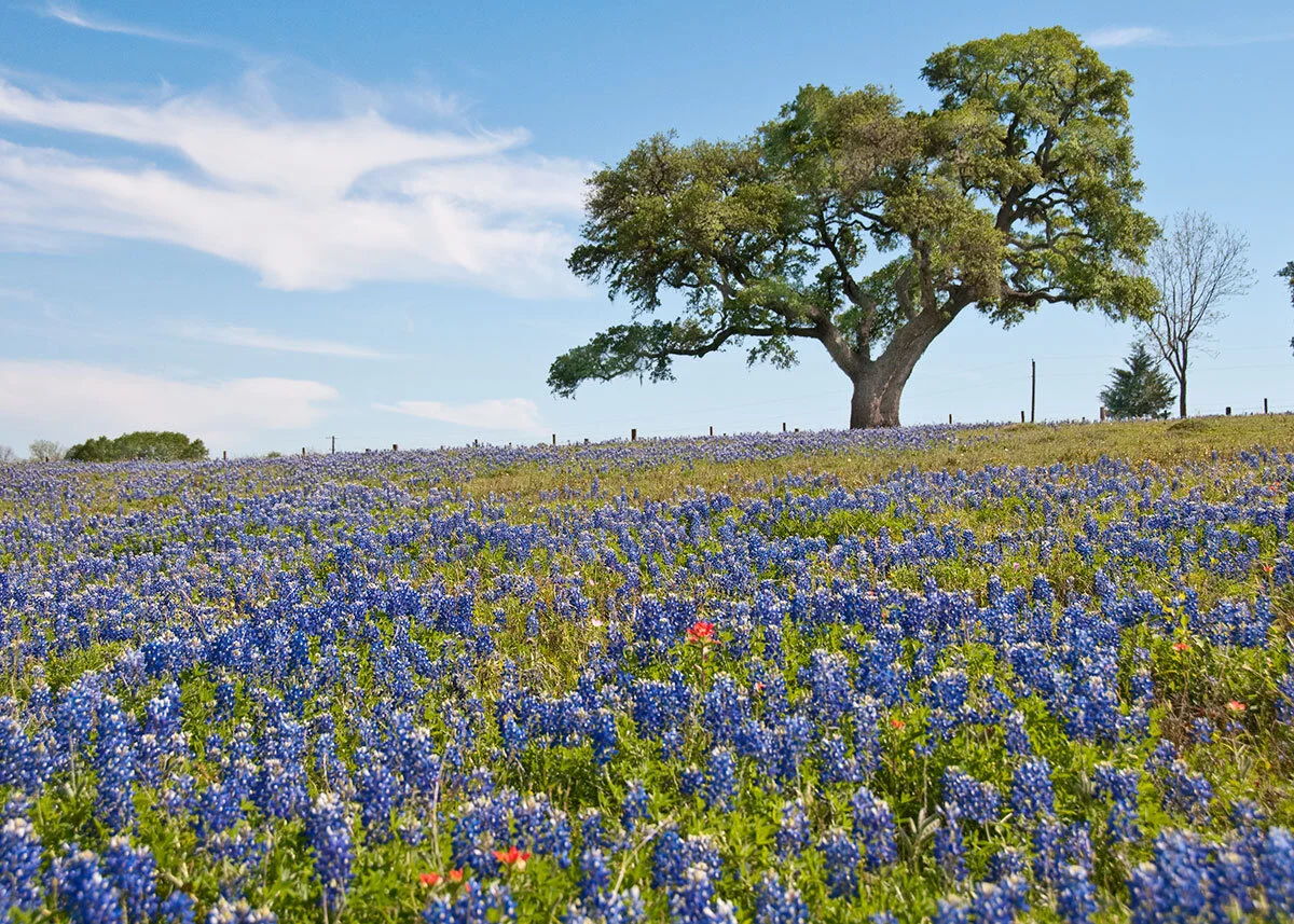 RoadTrips_TexasHillCountry.jpg