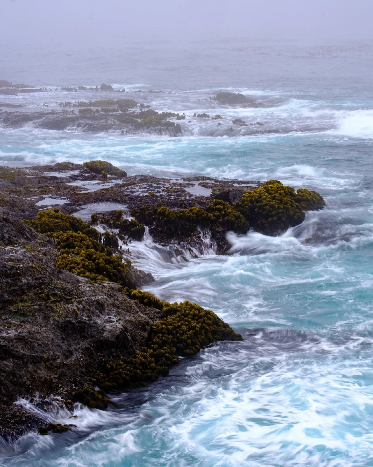Mendocino point covered in fog.
.
.
.
.
#xt3 #picoftheday #nature #solomaletraveler #solovanlife #mymeditation #velvia #vanlife #franthevan #leavenotrace #naughtybynature #goldenhour #moodygrams #moodycoast #seascapes #longexposure #mendocino #mendoc