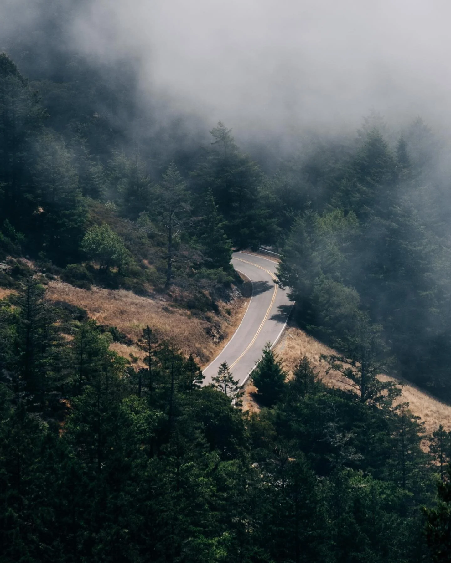 After an amazing week with friends, ready to get back on the road and into nature. Anyone know any good Mount Hood hikes?.
.
.
.
.
#xt3 #picoftheday #nature #solomaletraveler #solovanlife #mymeditation #provia #vanlife #franthevan #leavenotrace #naug