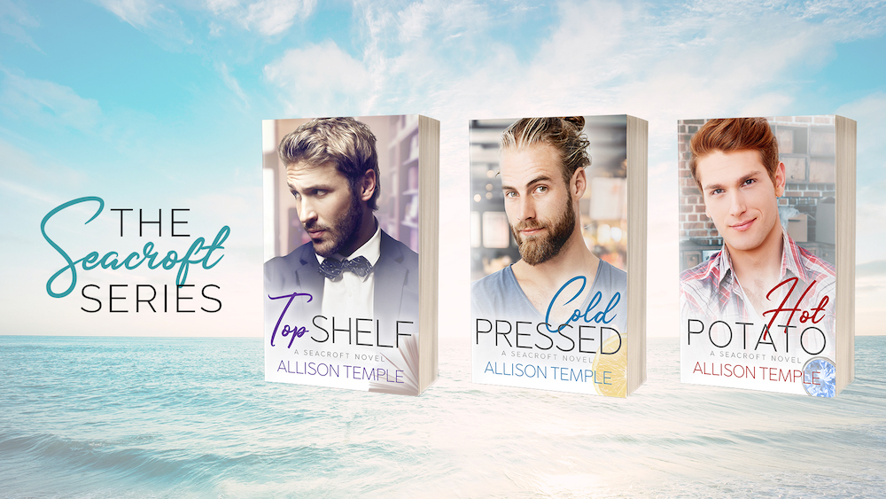 Seacroft Novel Contemporary MM Romance by Allison Temple