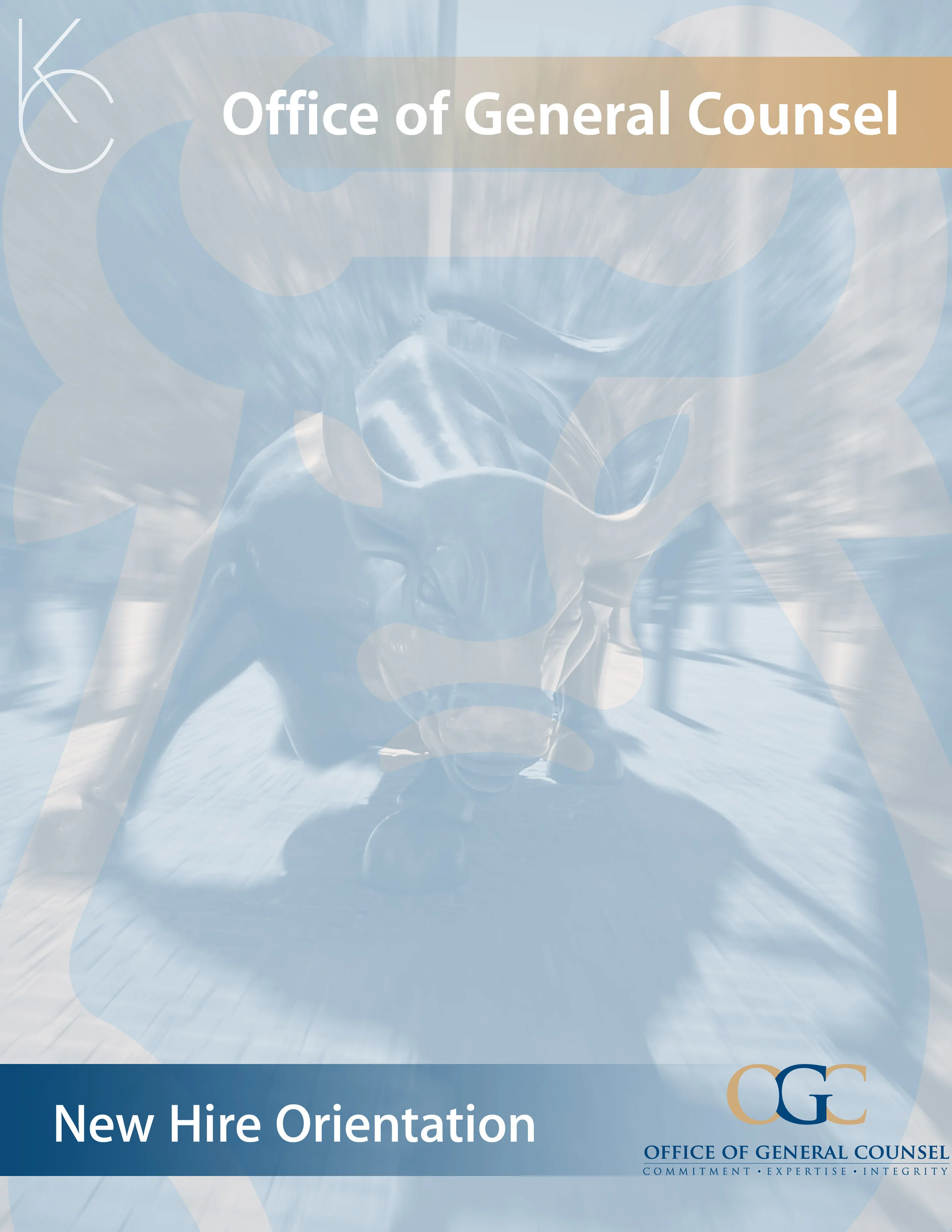 Merrill Lynch OGC New Hire Pamphlet Cover Draft (brochure half spread, half-letter sized)