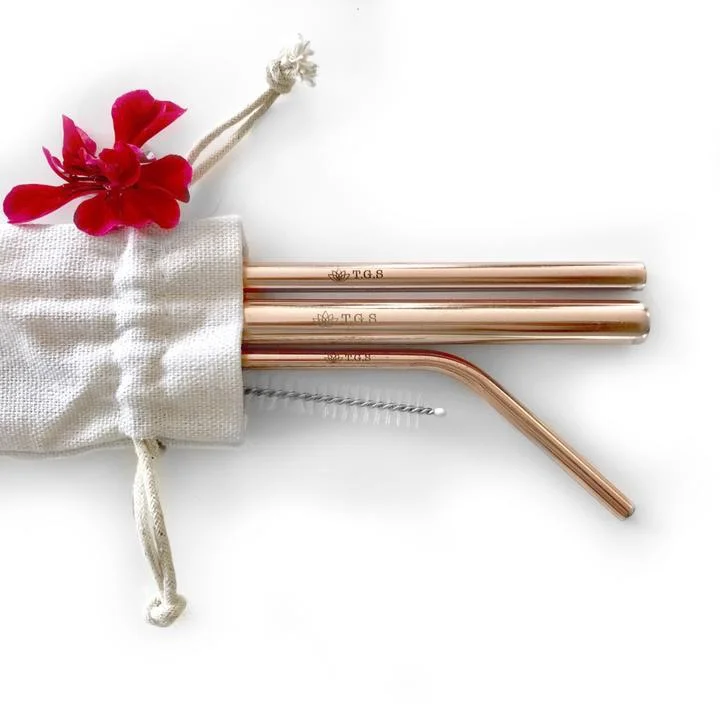 Stainless Steel Straw Set by The Good Source Ltd.