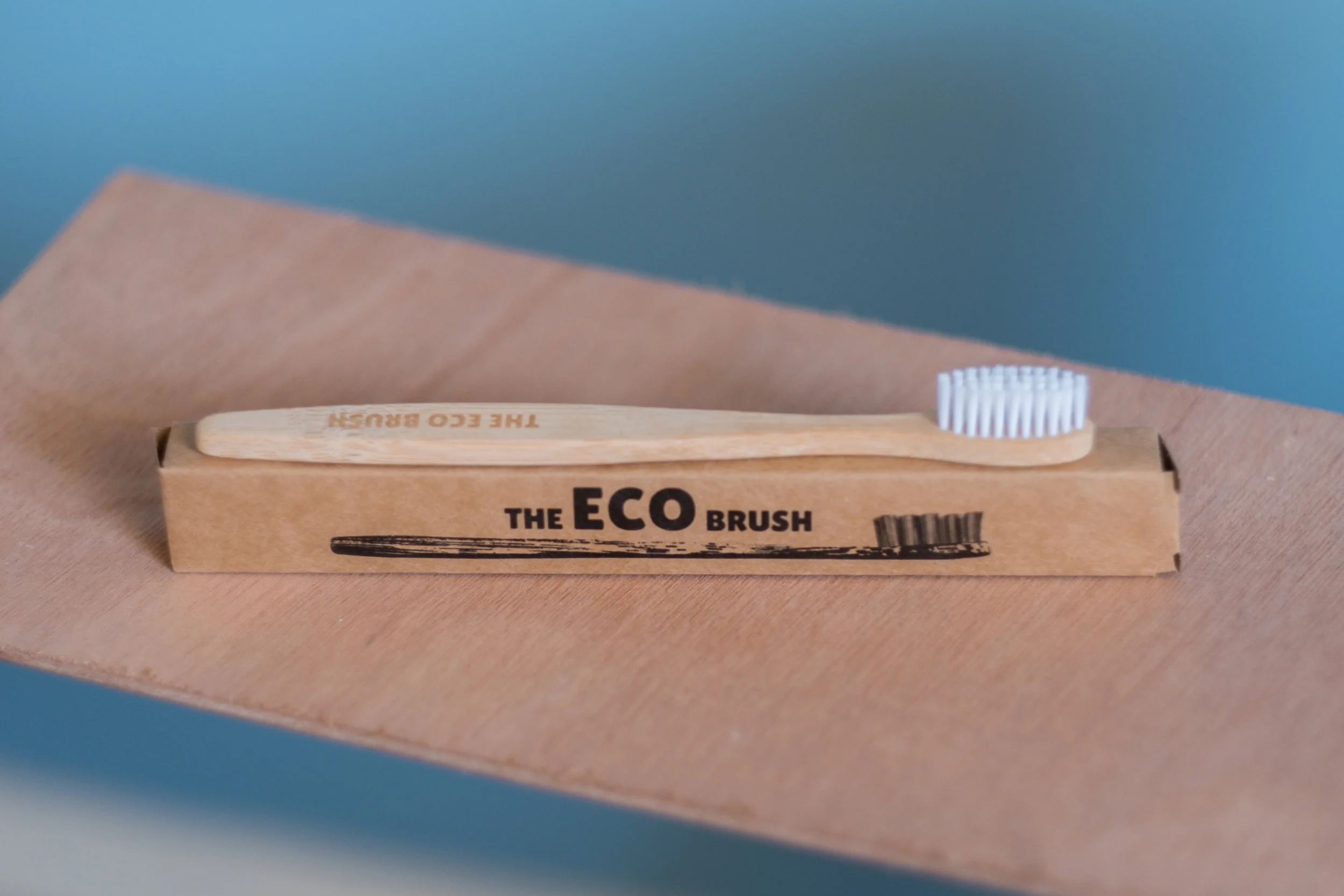 HansonandDaughters_EcoBrush (11 of 21).jpg