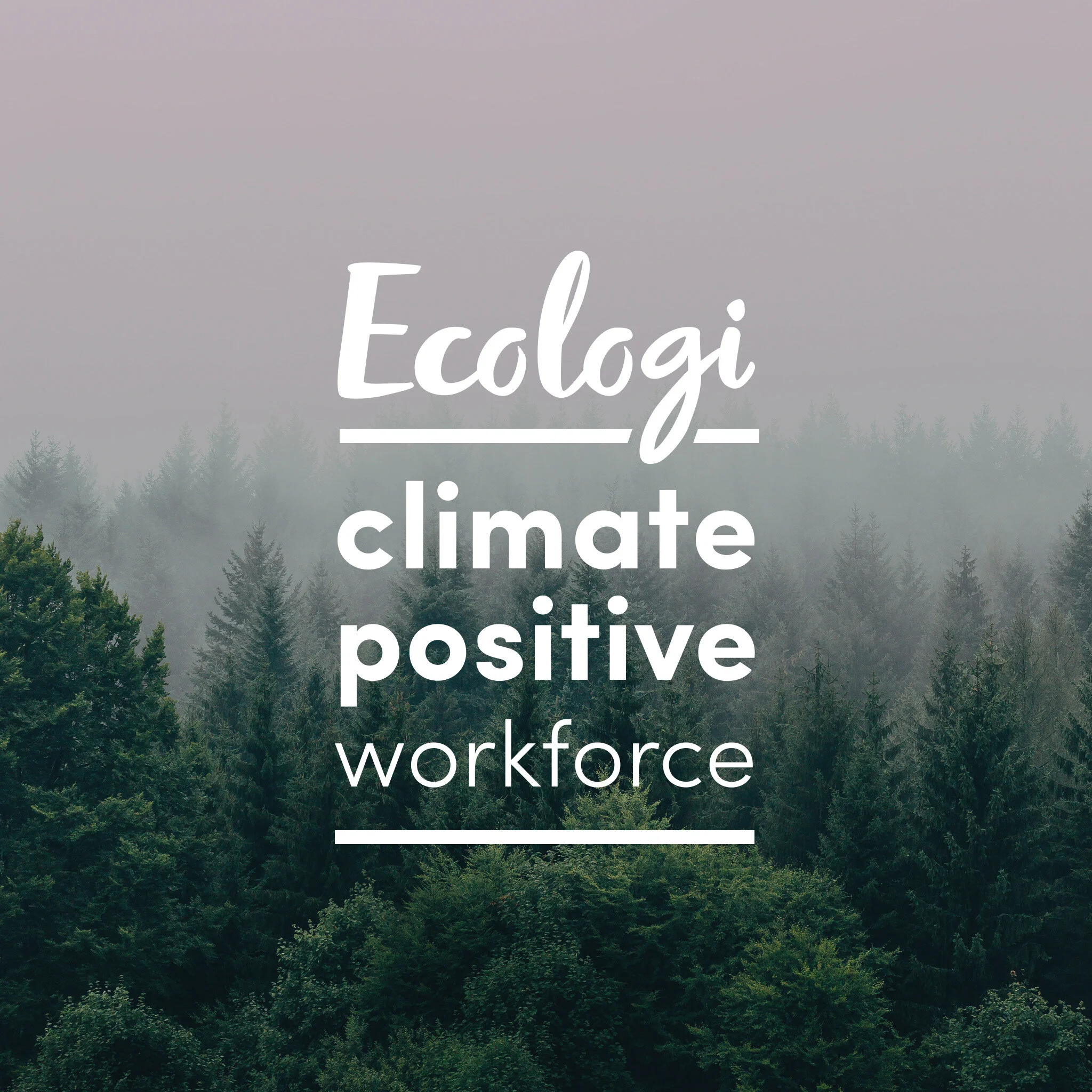 Climate Positive Workforce badge 2.JPG