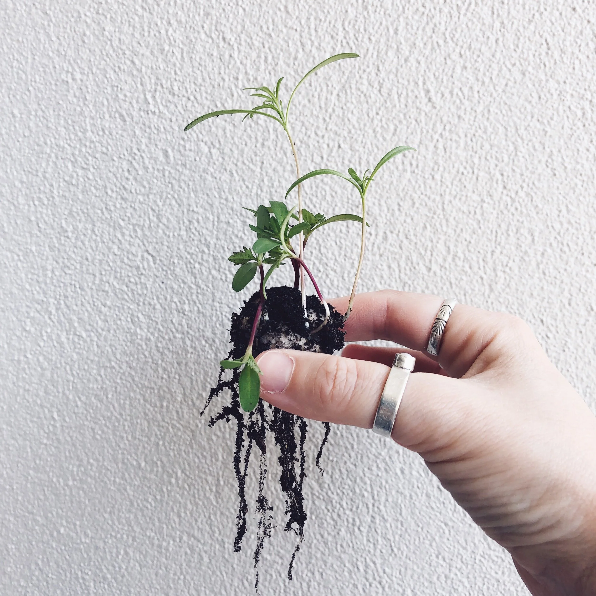 A28CE93D-9AF1-455B-AA97-40451D98EAF4