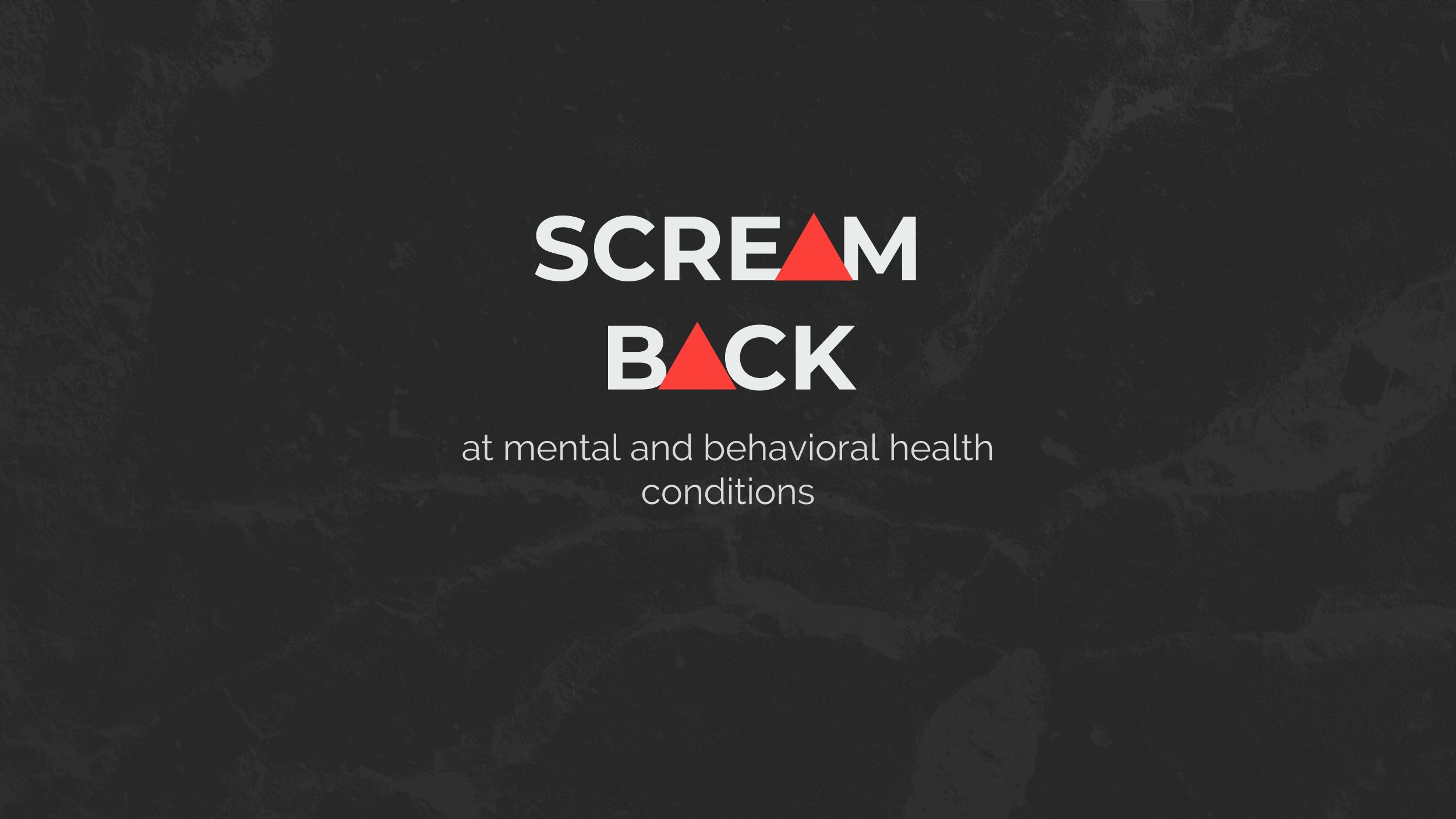 PROGRAM_OVERVIEW_SCREAMBACK_School_Education_Experience.jpg