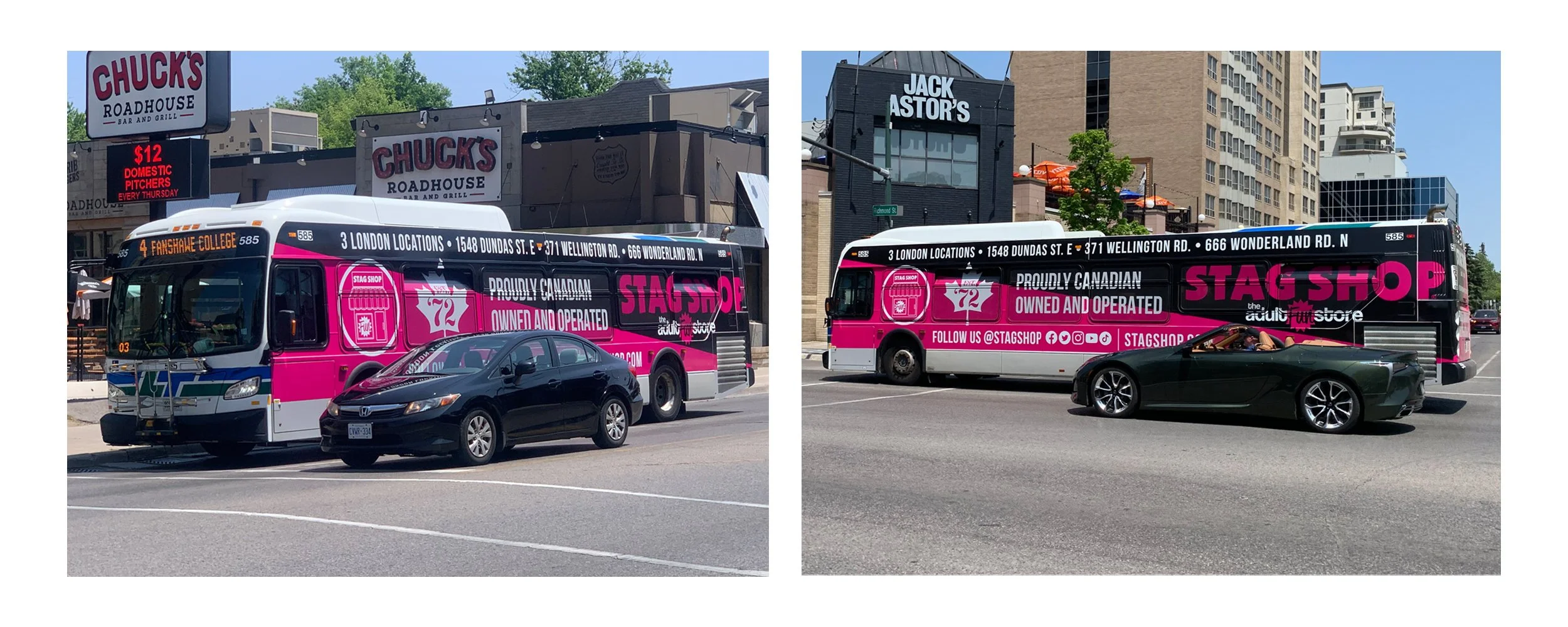 Stag-Bus-Photos2-web.jpg