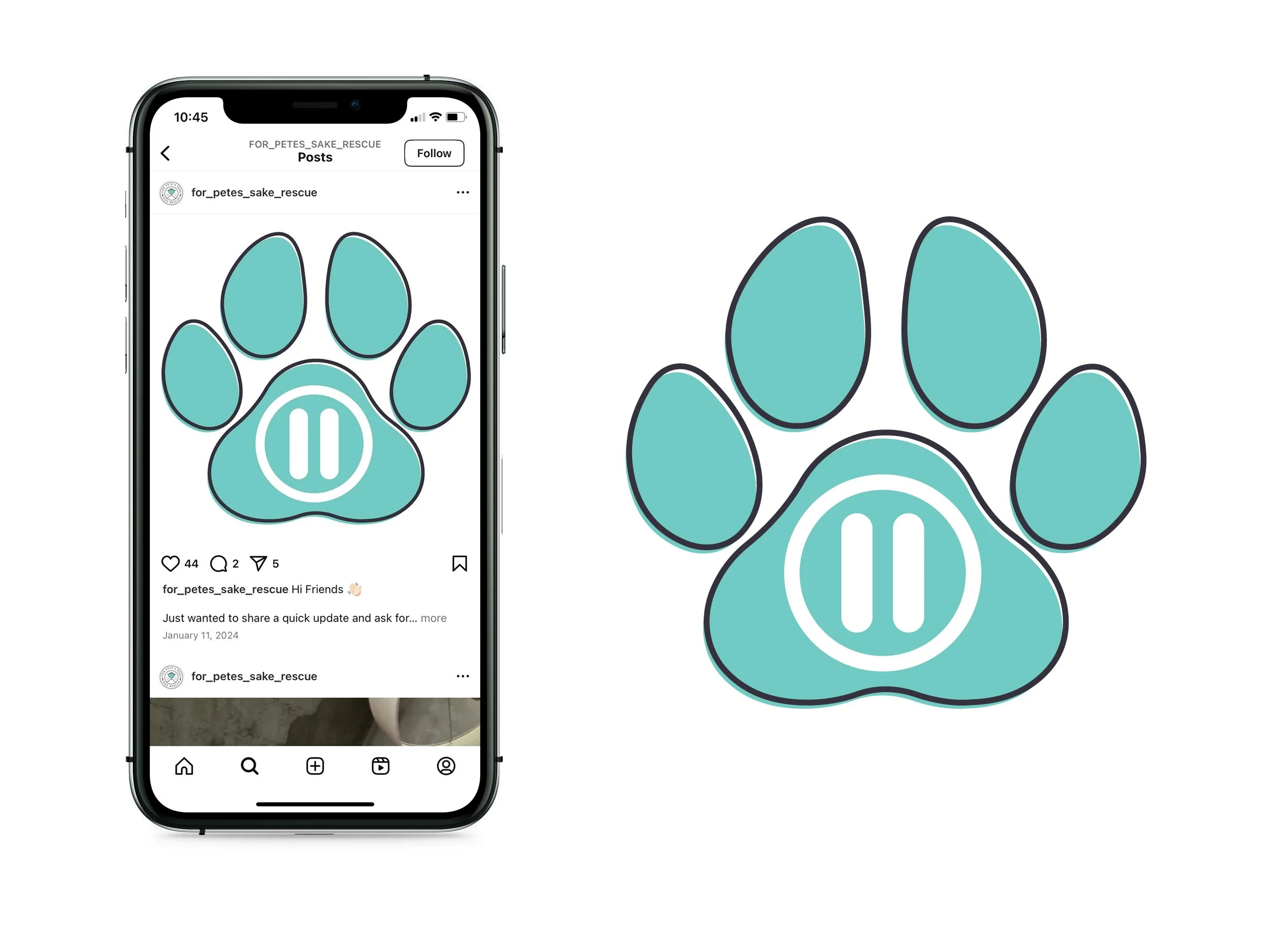  Social media graphic to announce a temporary pause on rescue in-takes. 