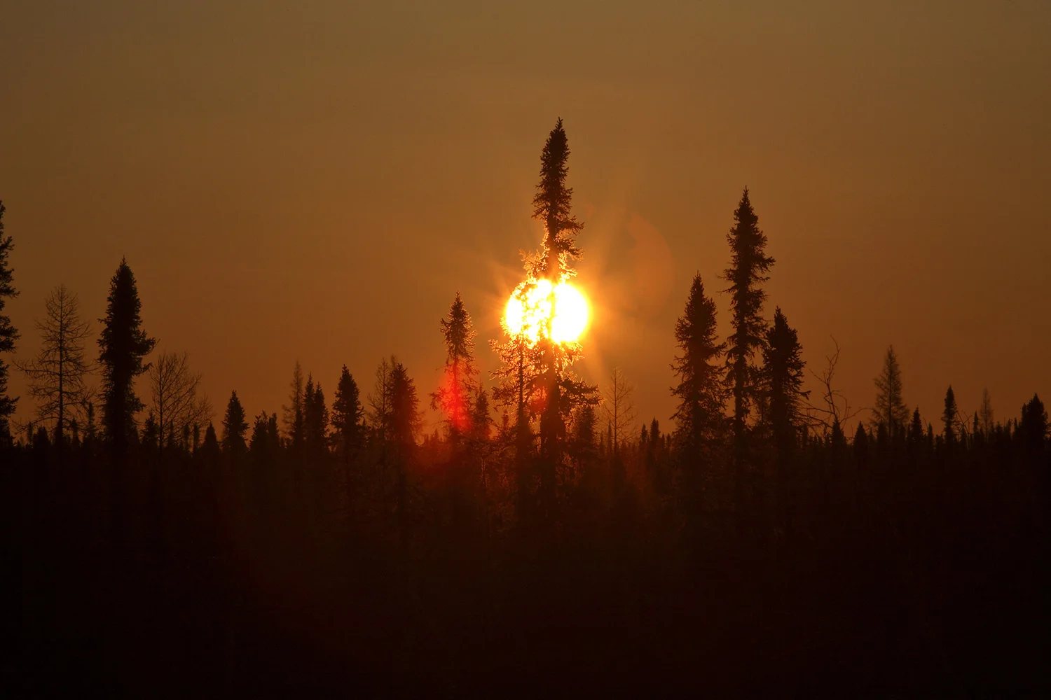 Hunting Lodge Candle Lake Outfitters