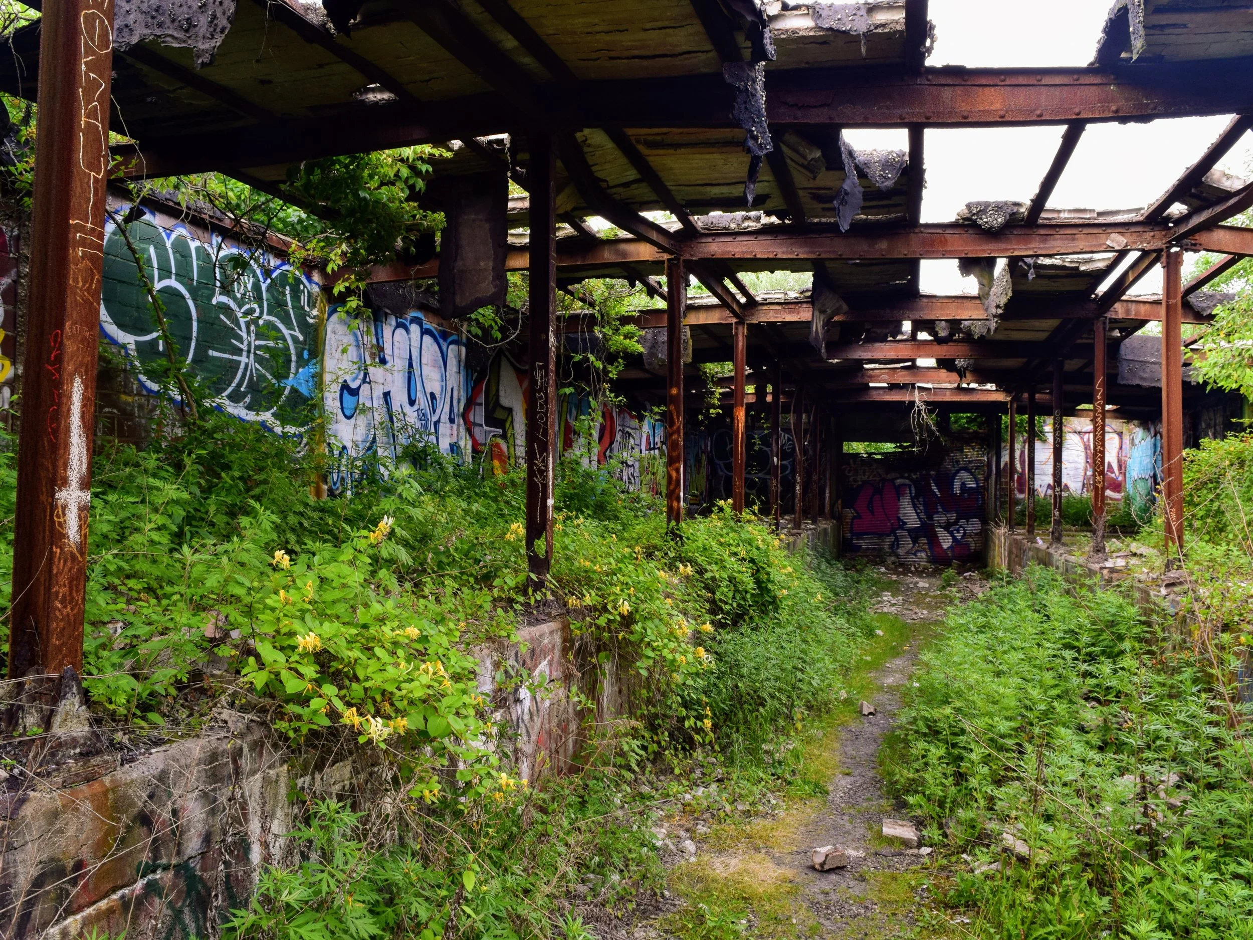 Abandoned building with graffiti and weeds