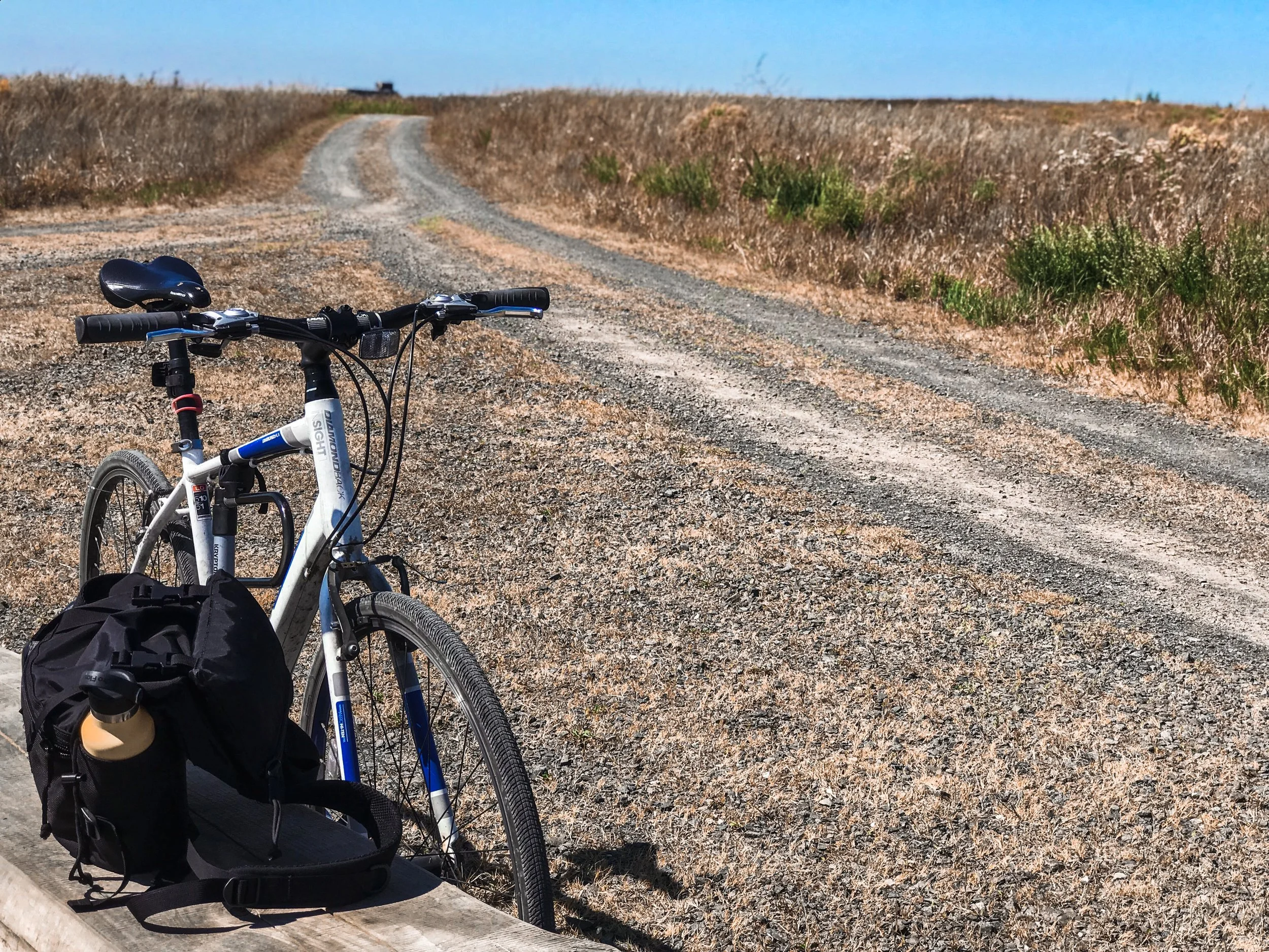 Hiking | Biking Shirley Chrisholm State Park