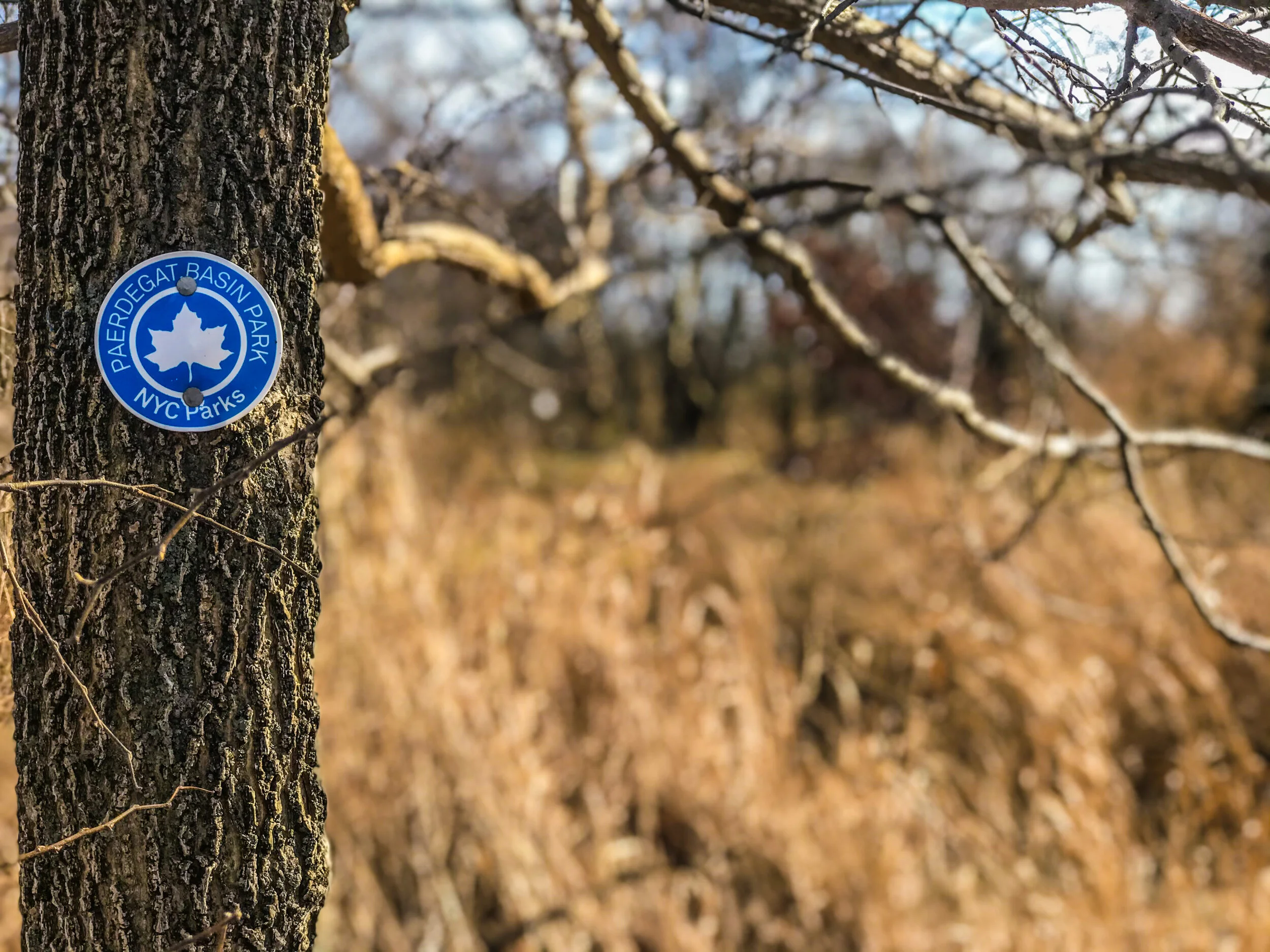 Paerdegat Basin Park | Micro Hike