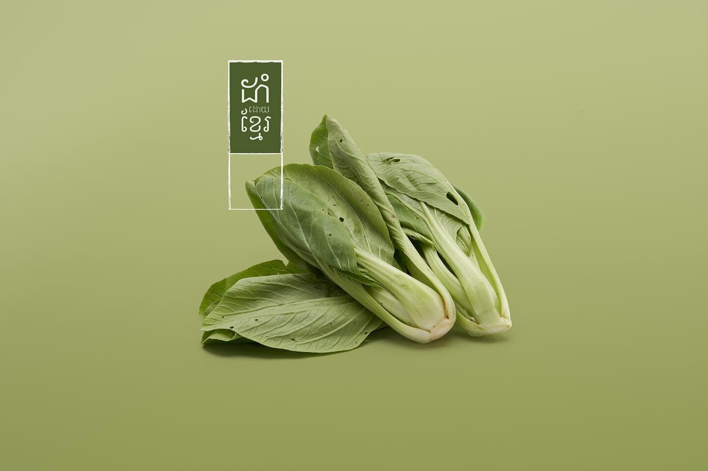 Bok Choy. 
 
From a recent campaign shoot with Melon Rouge for Planted by Khmer. 

#studiophotography #foodphotography #advertisingphotography #sonya7iii #captureonepro #cambodia #phnompenh