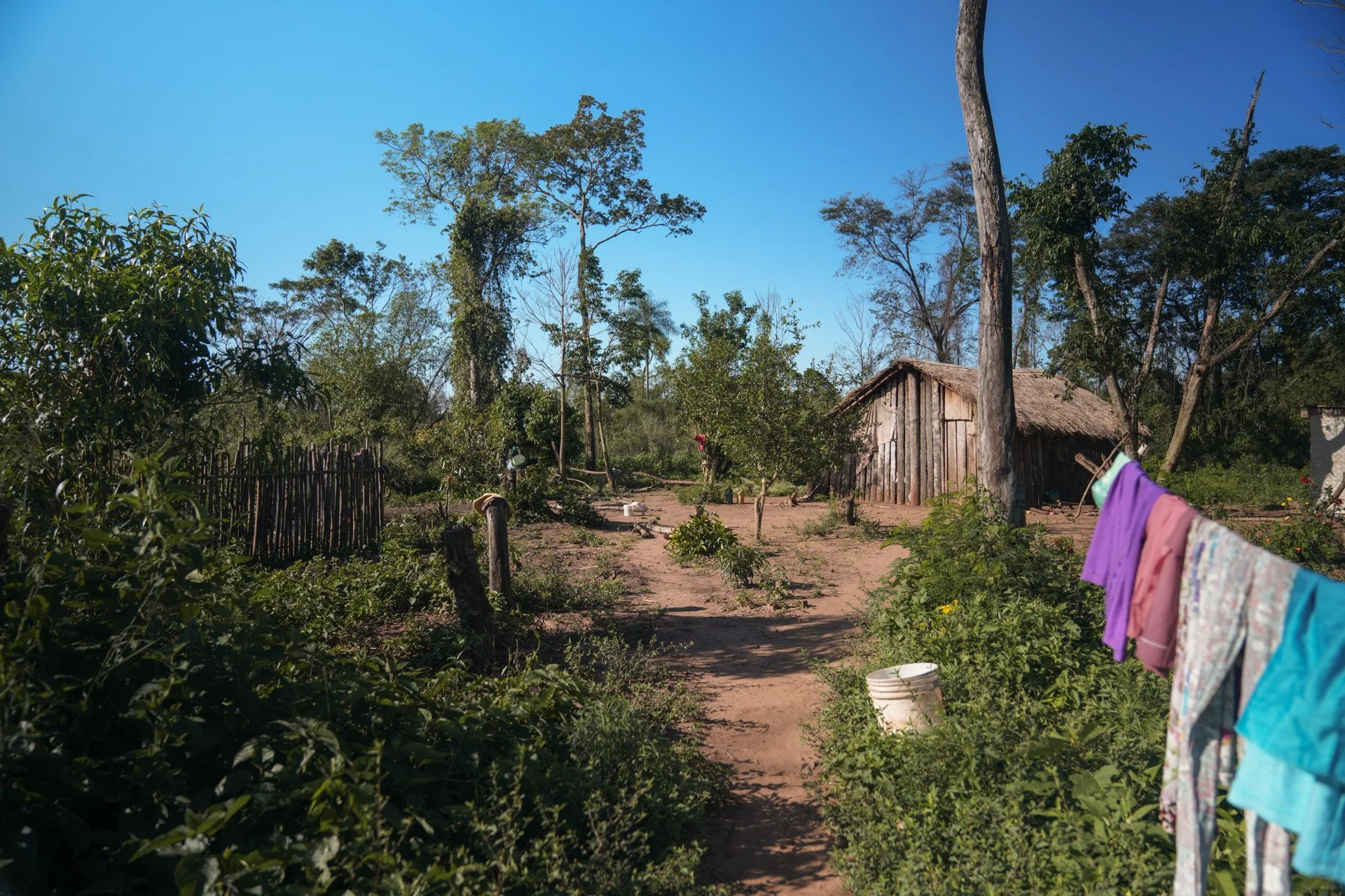 Ilaria’s house, Santa Teresita Community, Paso Yobai, Paraguay. 

Ilaria is a member of the Mbya Guaraní people, one of the 19 indigenous ethnic groups in Paraguay and among the most affected by deforestation, a common problem for indigenous people g