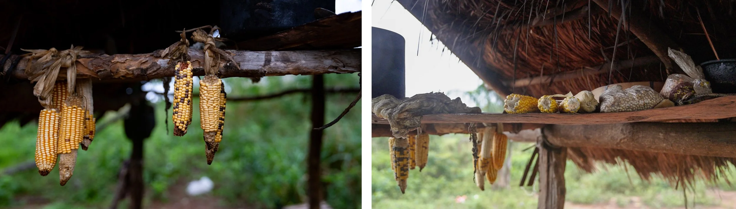 Dry corn and other supplies from Ilaria’s garden.

Despite their strong desire to stay, the intensification of climate change forces more indigenous women to temporarily migrate to cities. There, they engage in buying and selling goods to secure alte